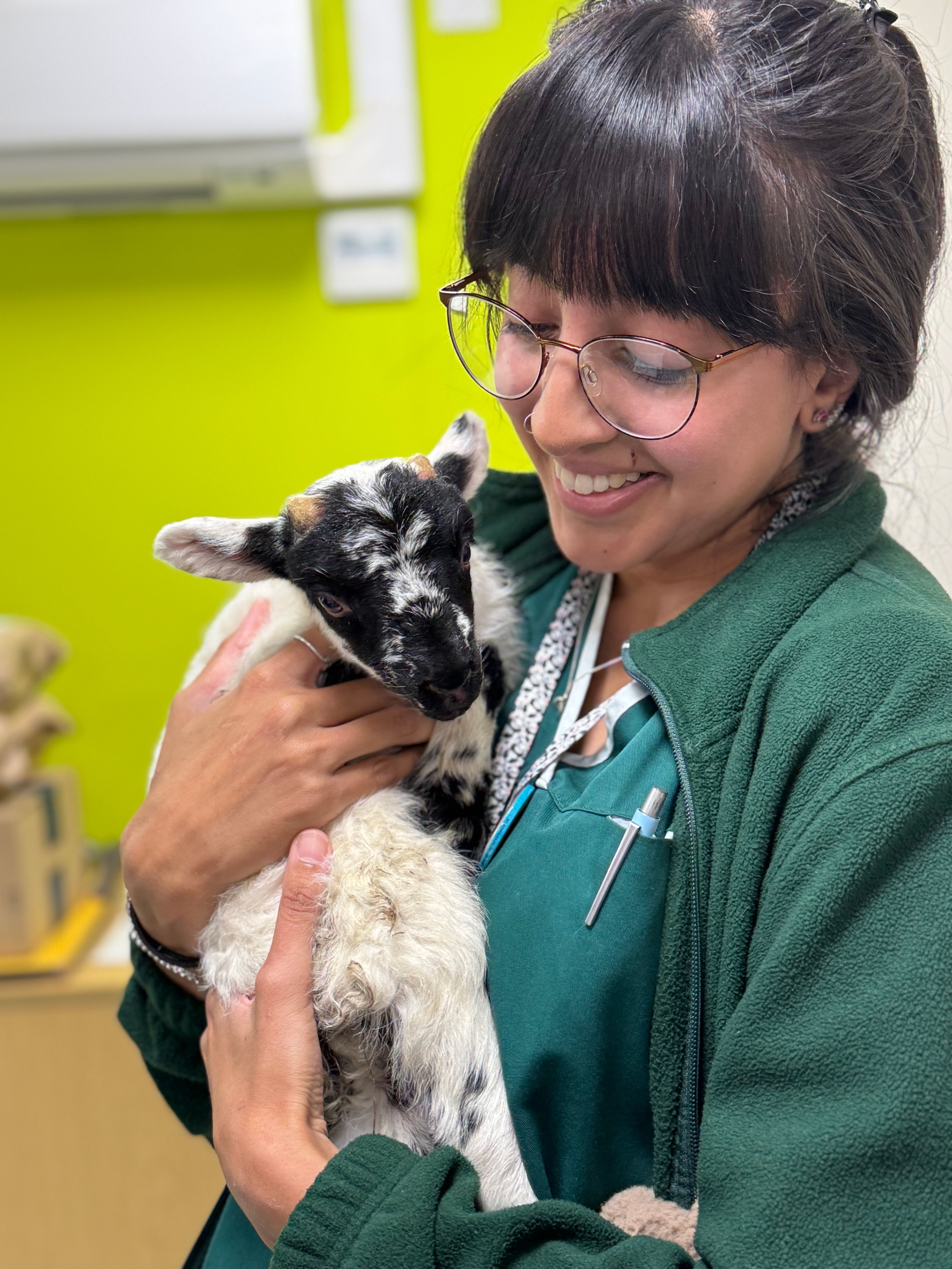 image-10