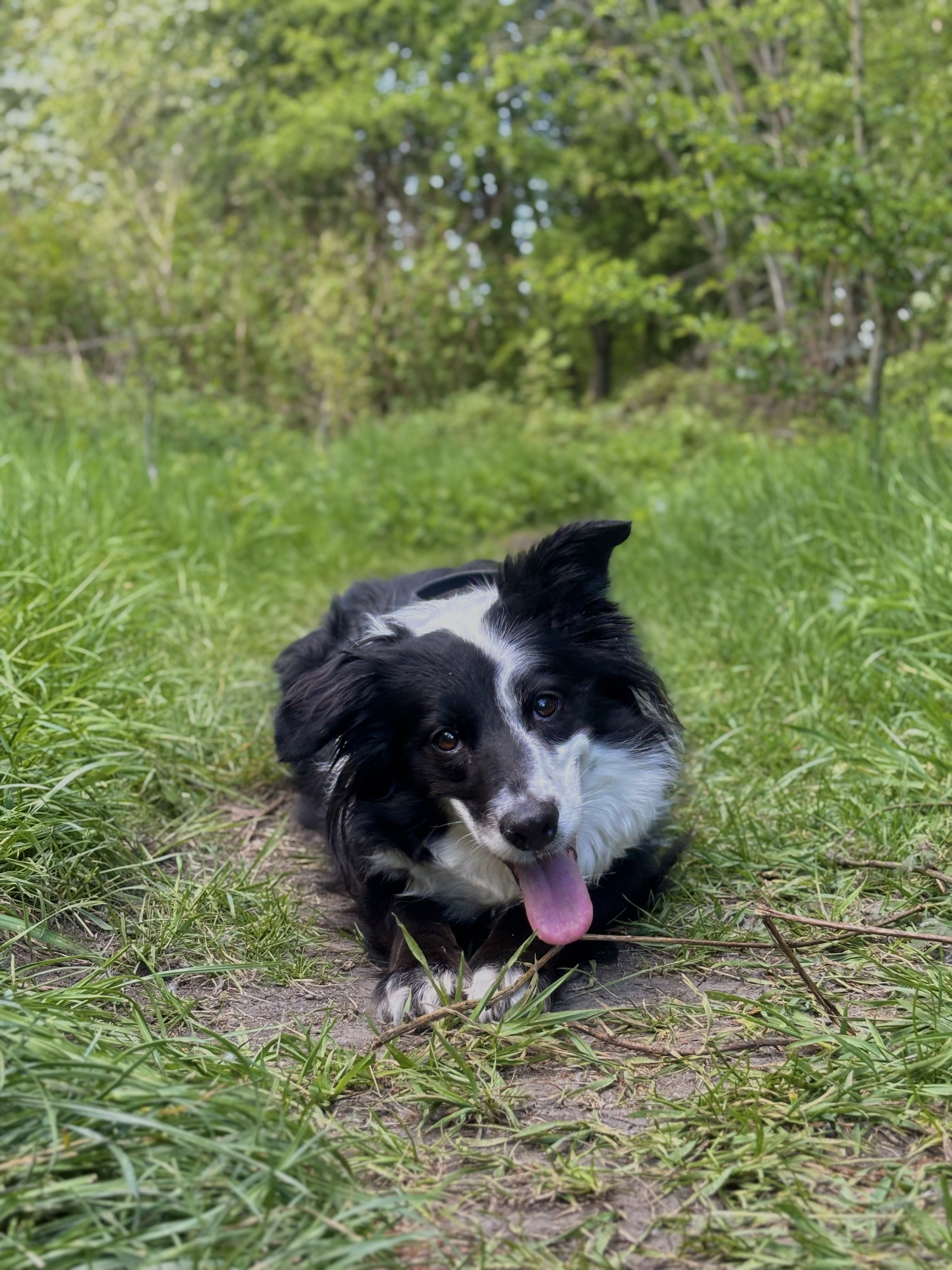 image-12