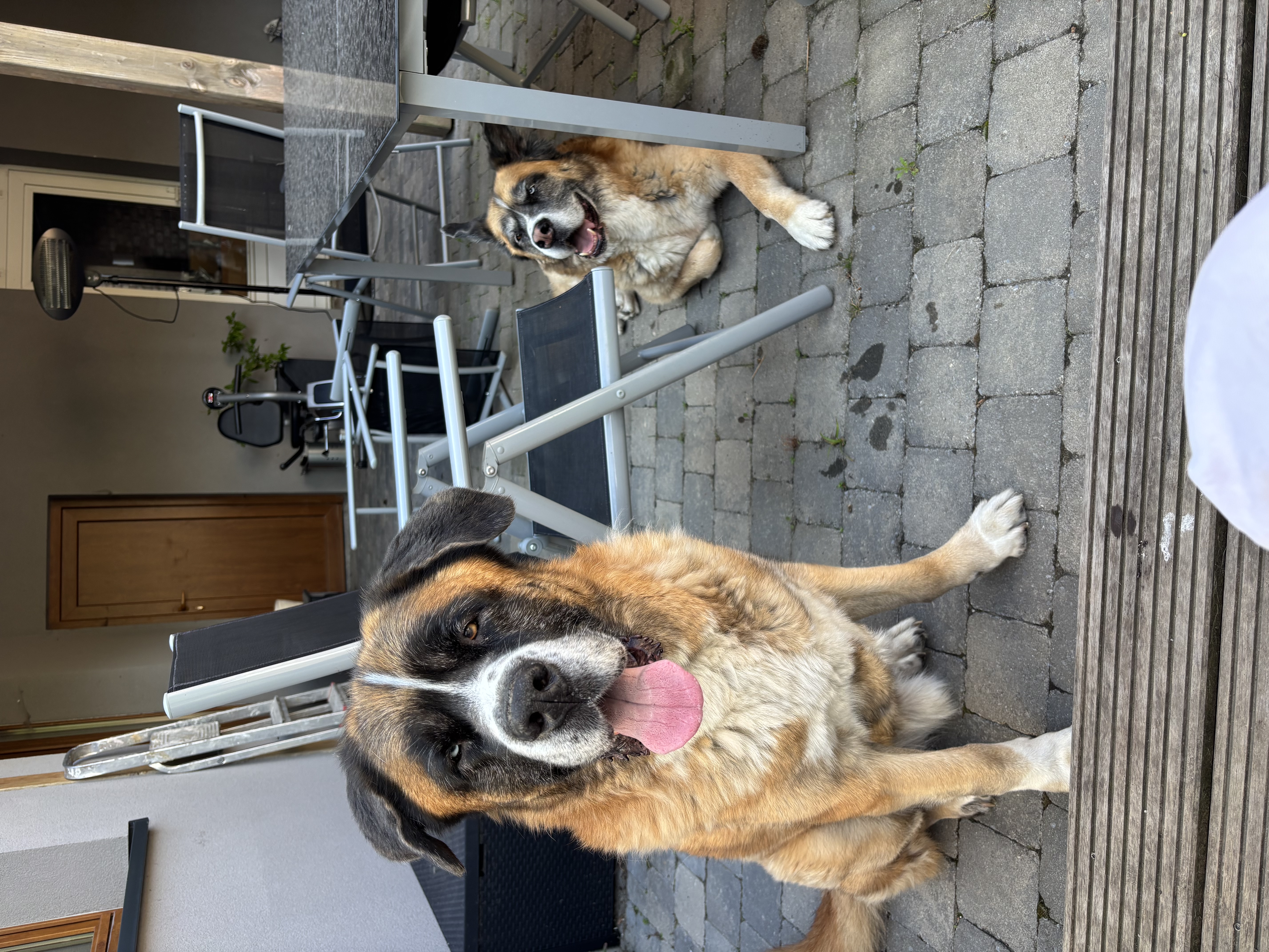 image-3