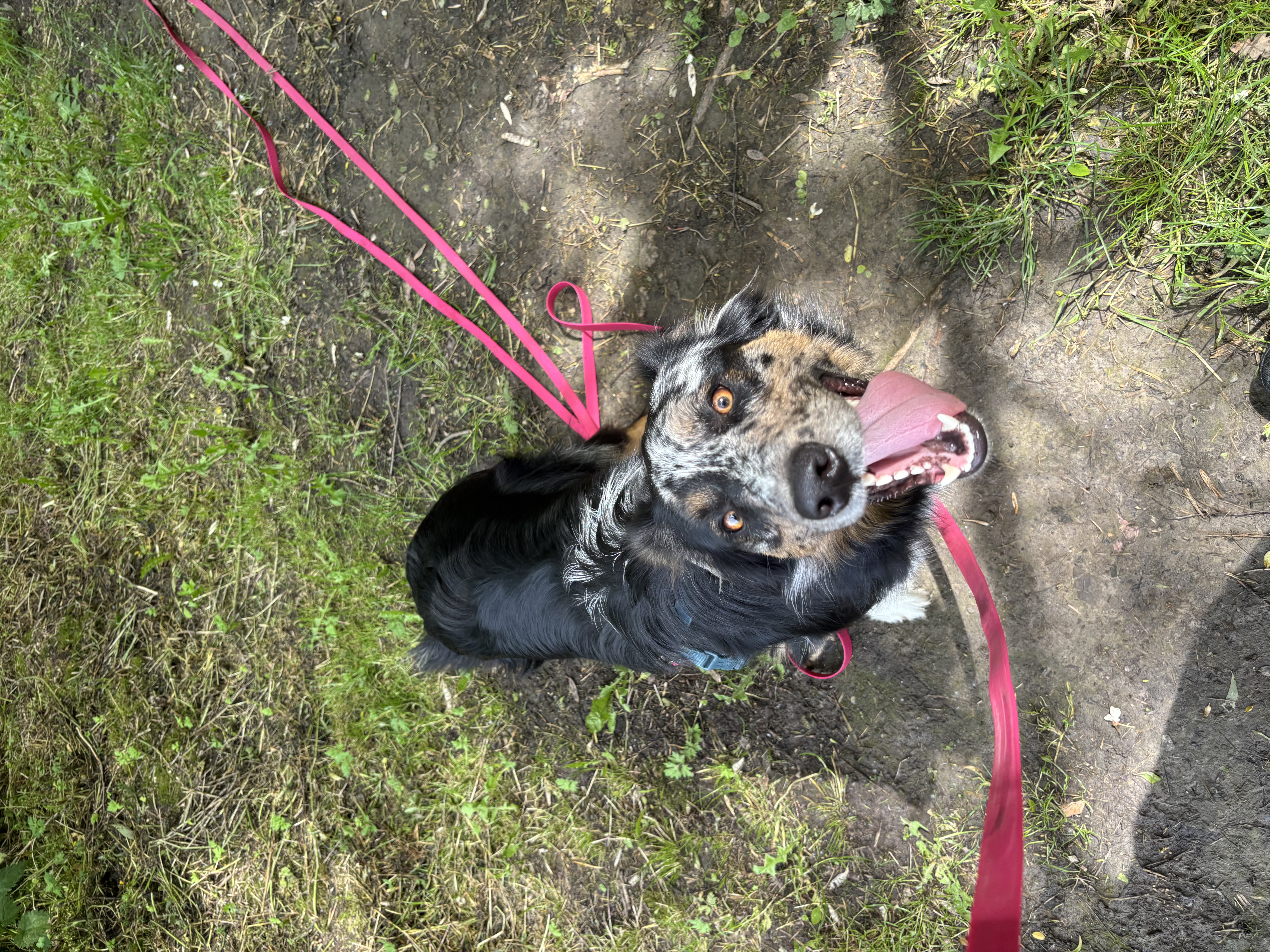 image-8