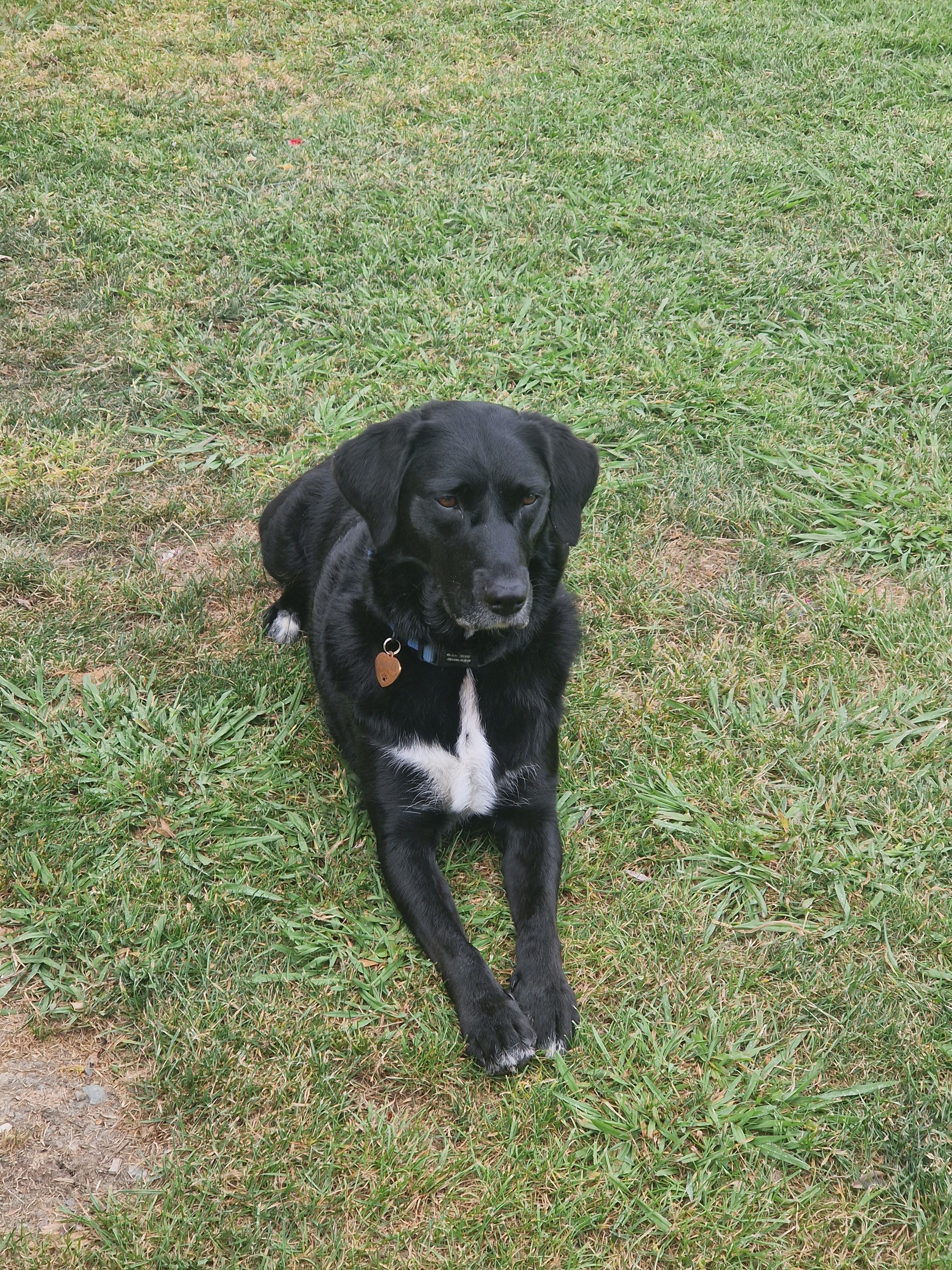 image-13