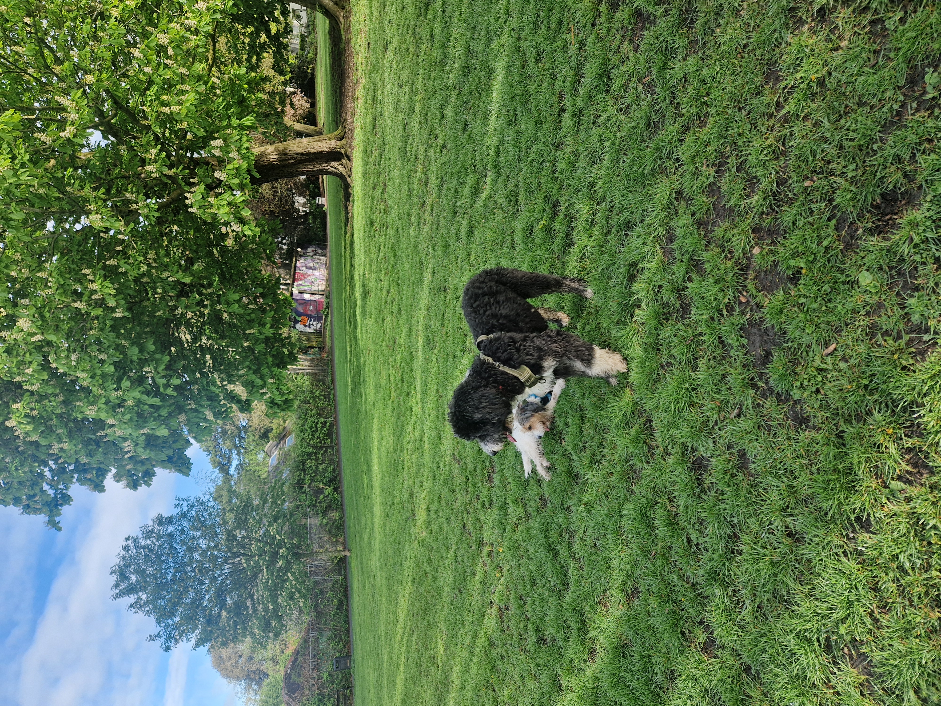 image-16