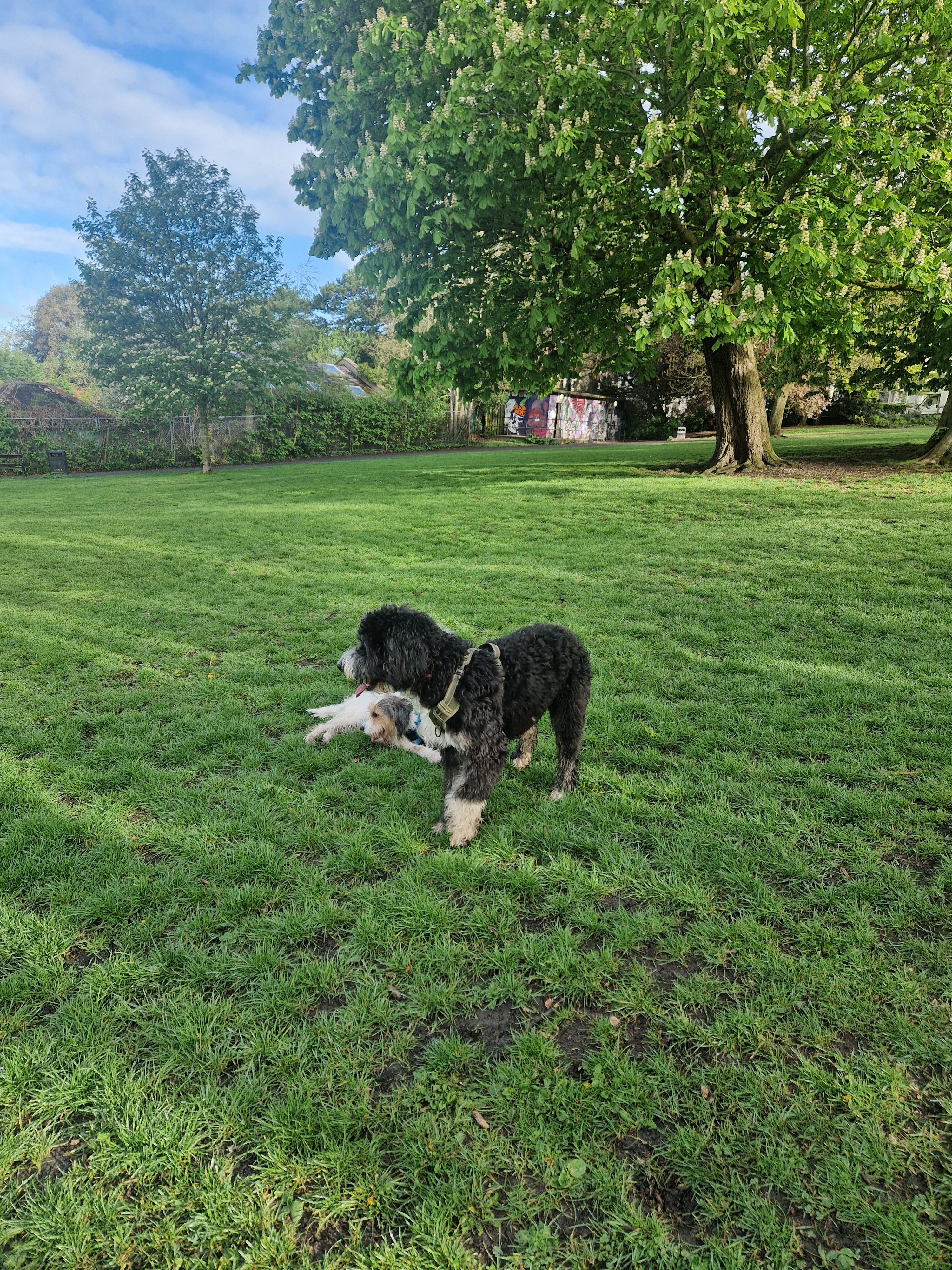 image-16