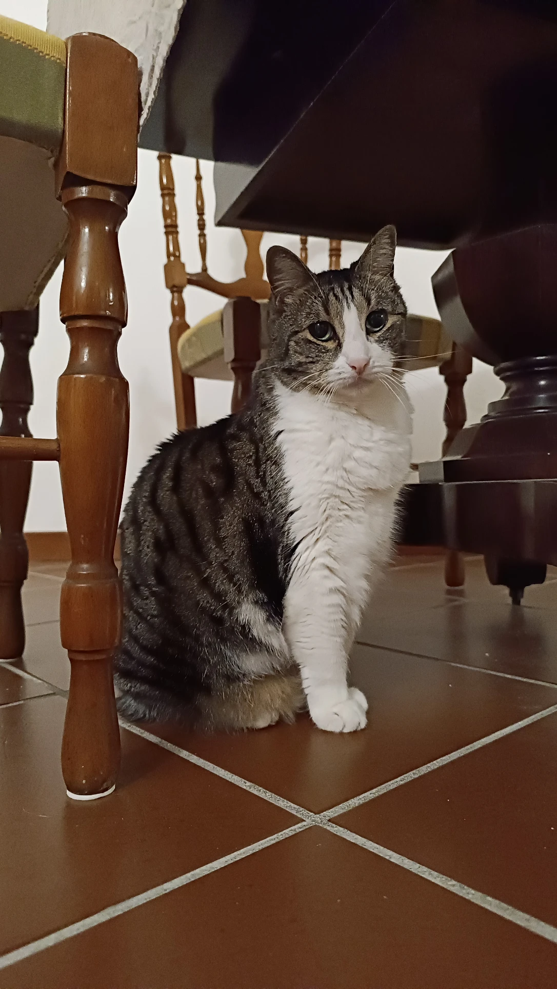 image-14