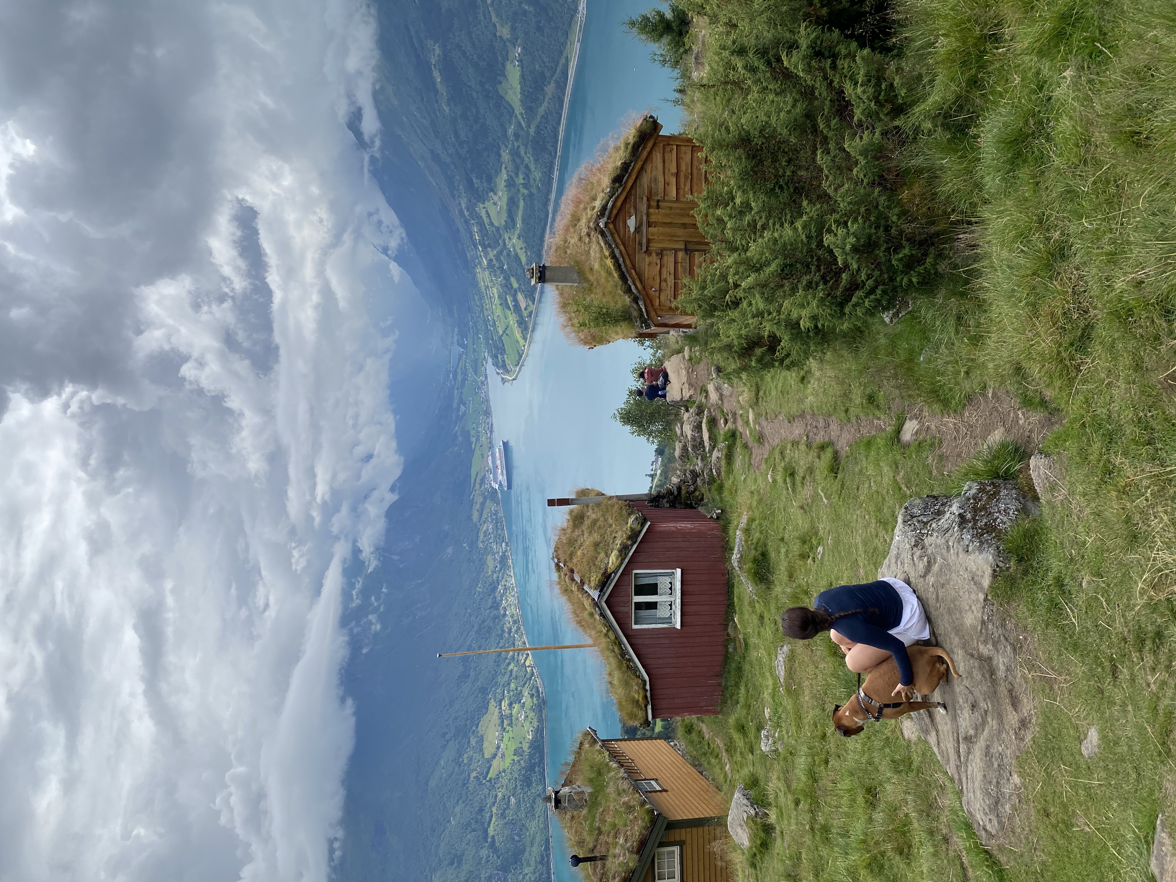 image-2