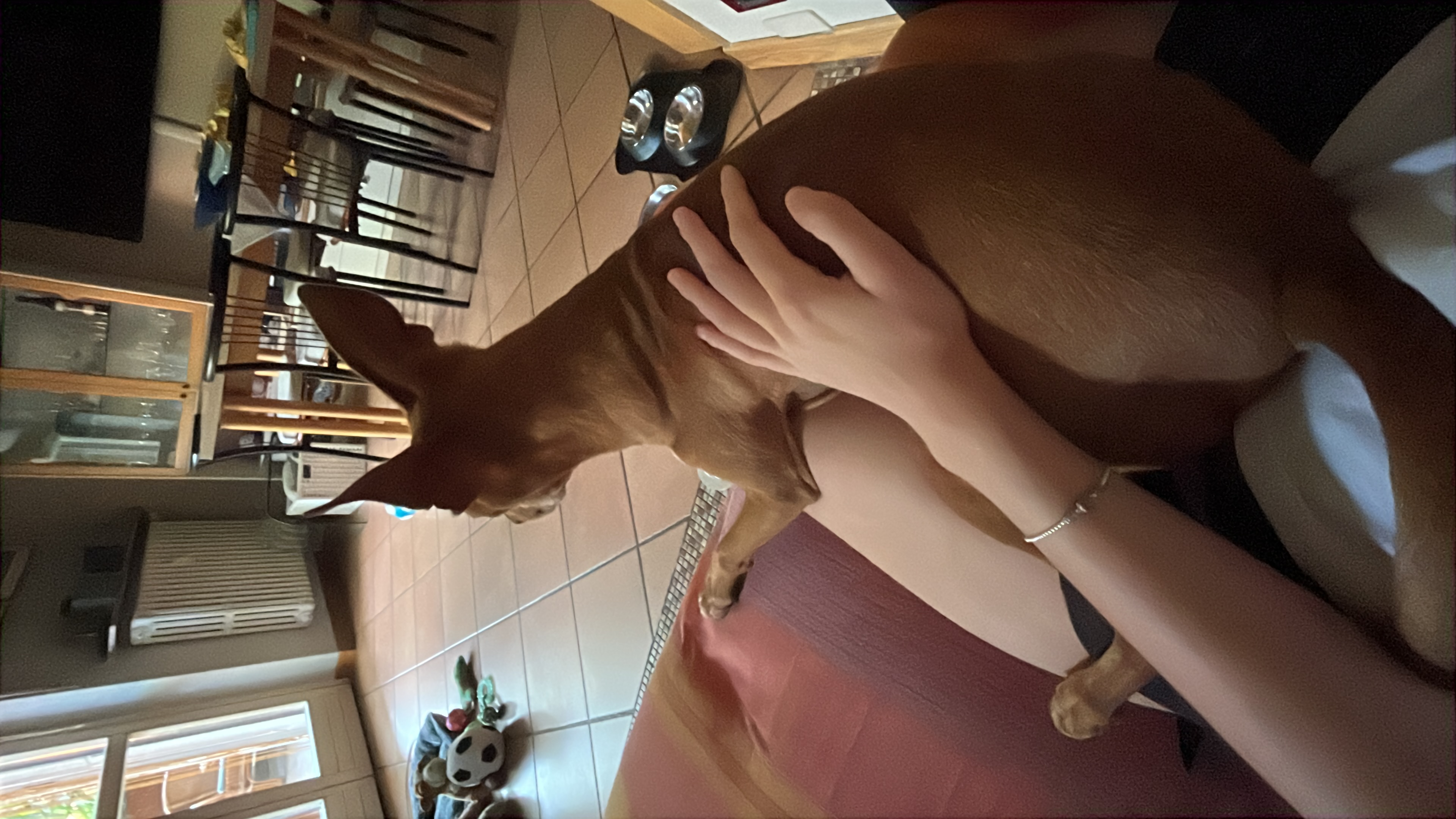 image-5