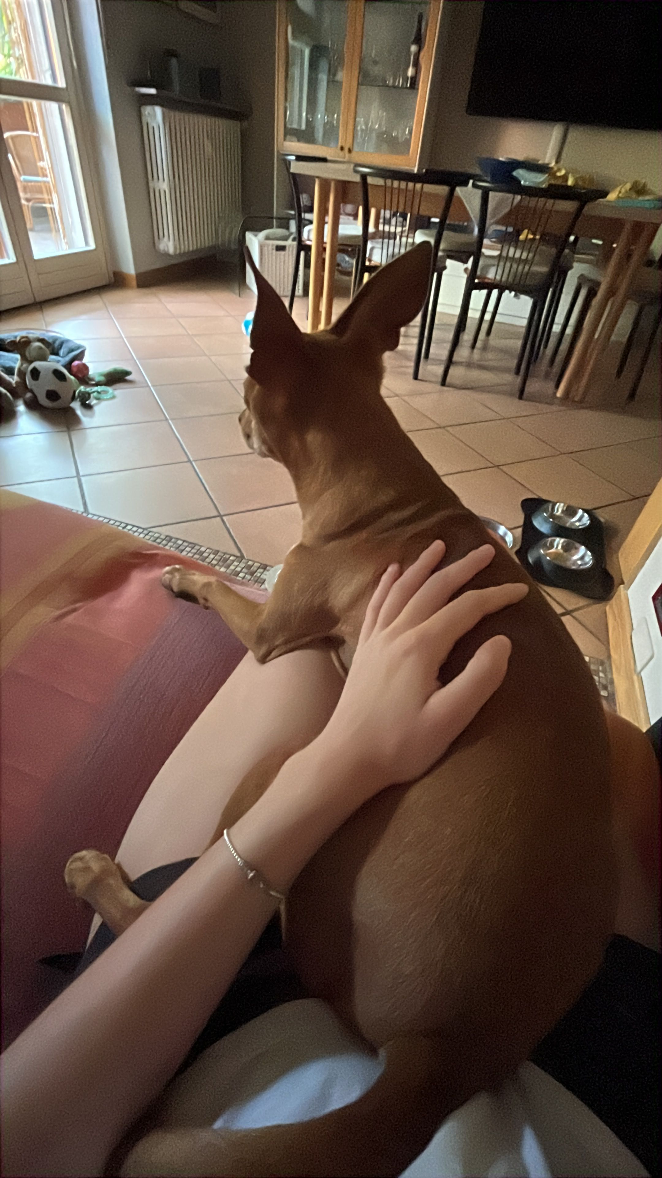 image-5