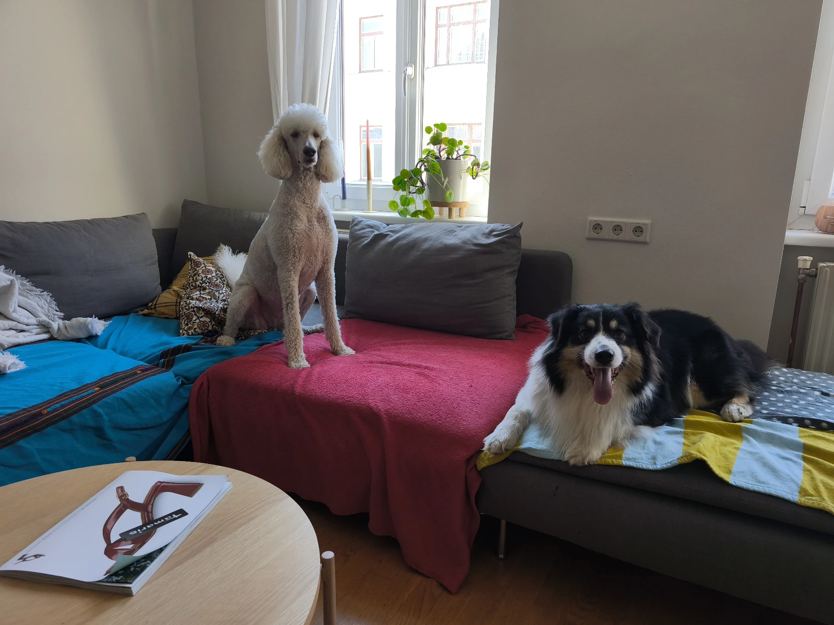 image-16