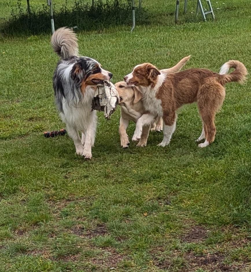 image-12