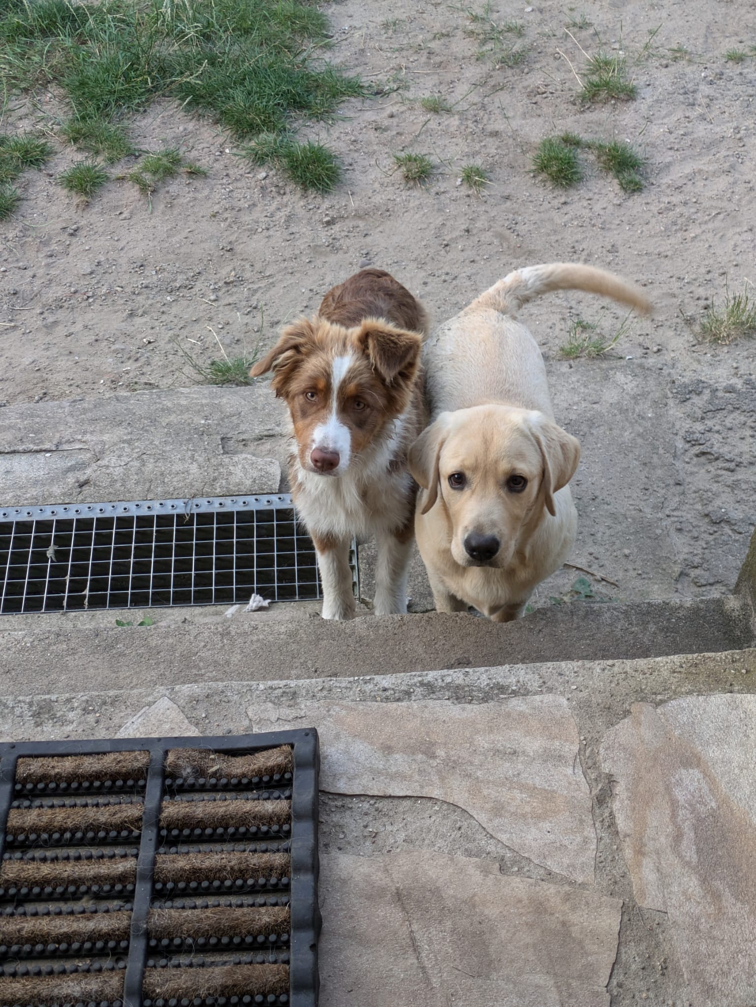 image-9