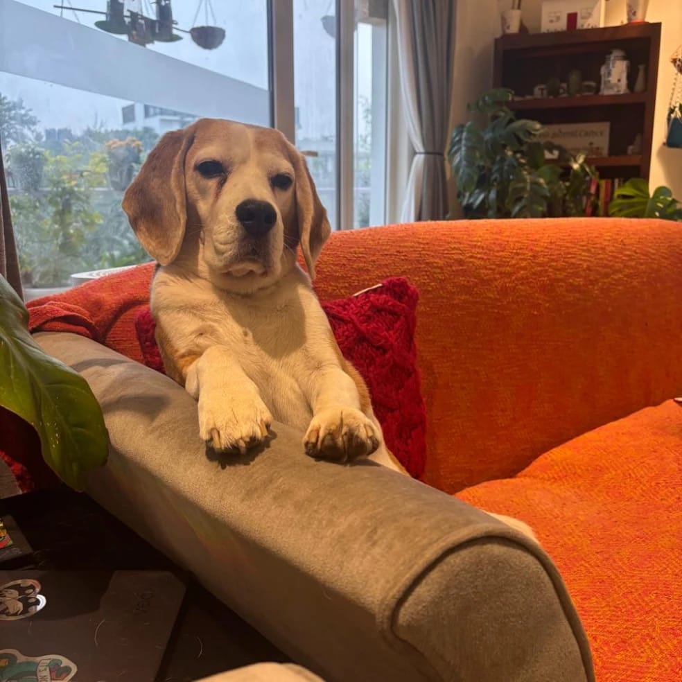 Mia