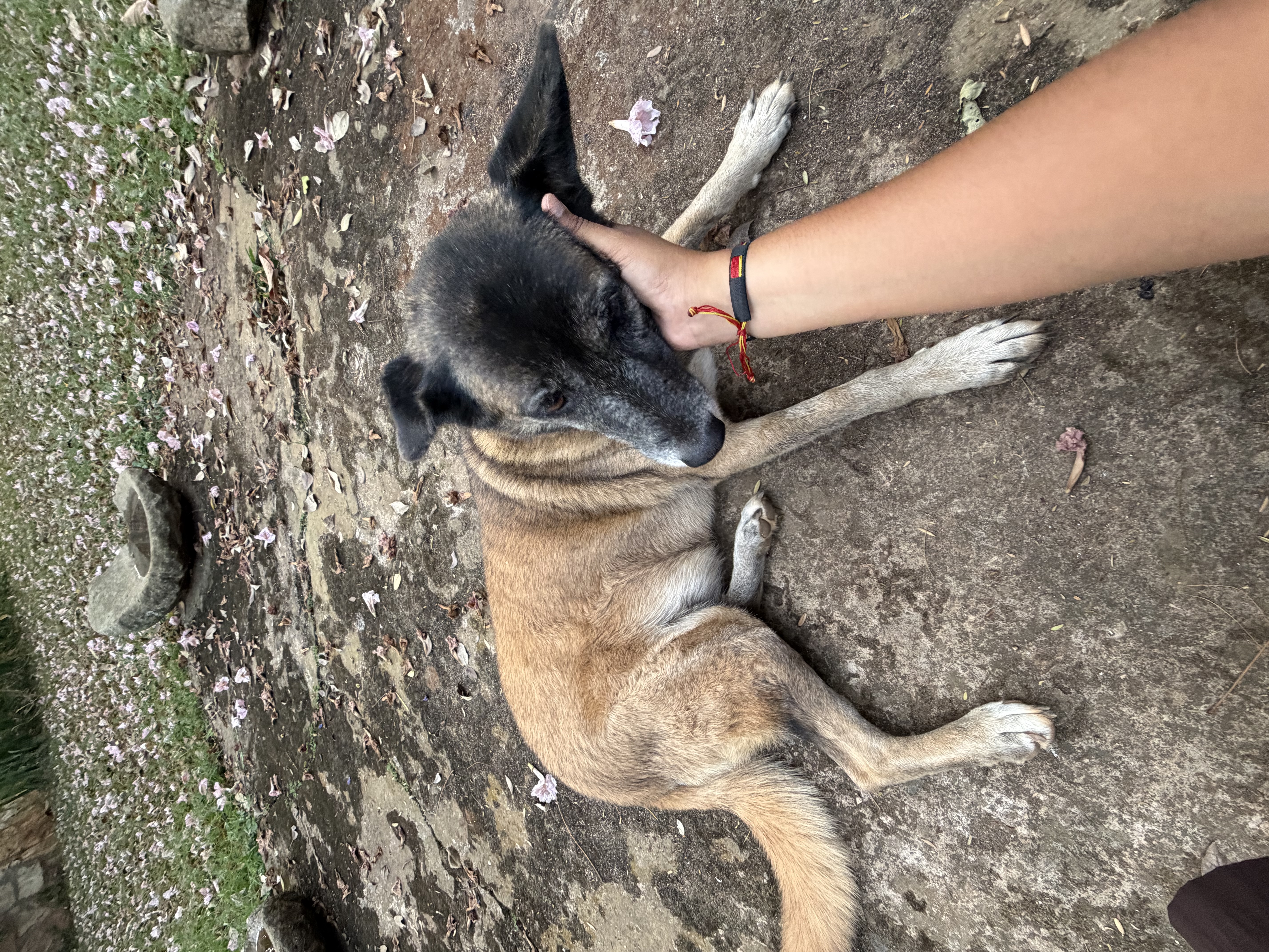 image-10