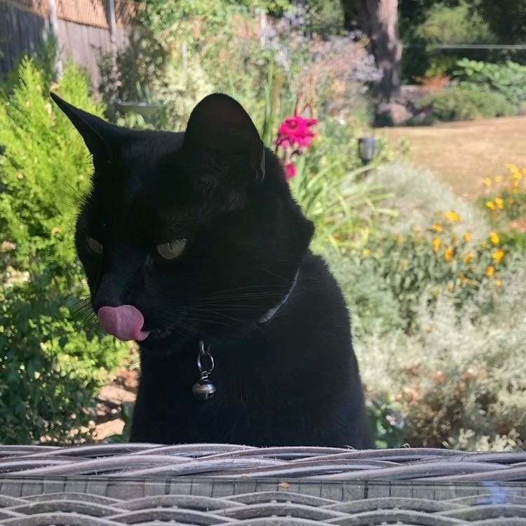 Cali
