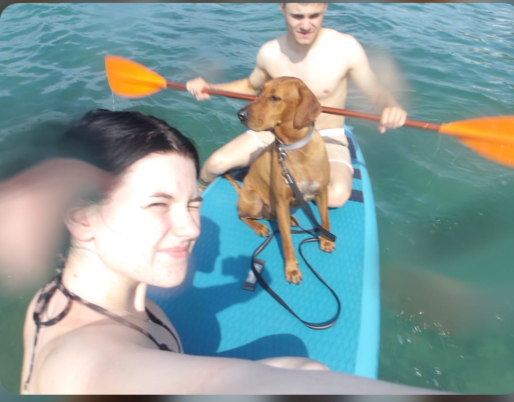 image-4