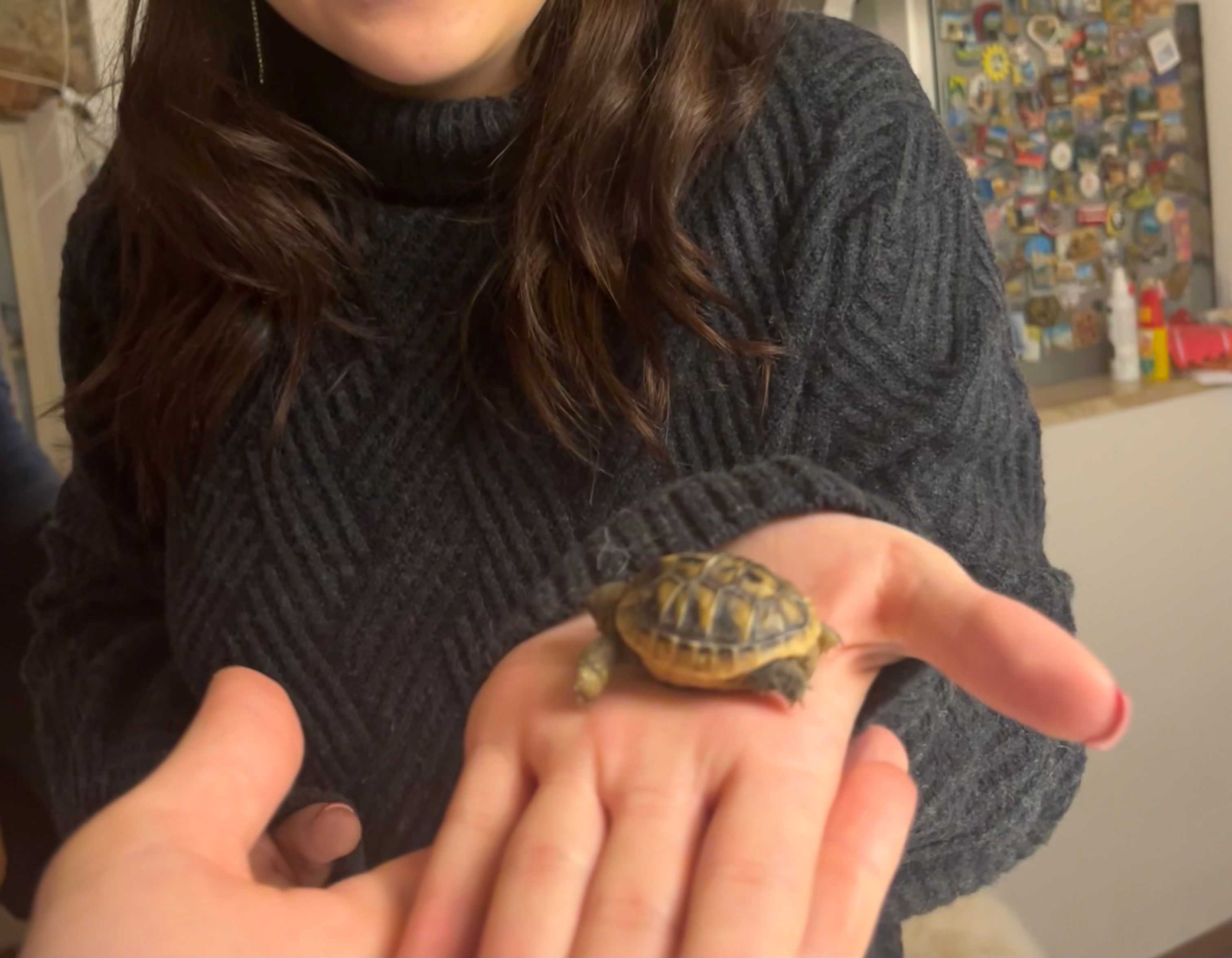 image-5