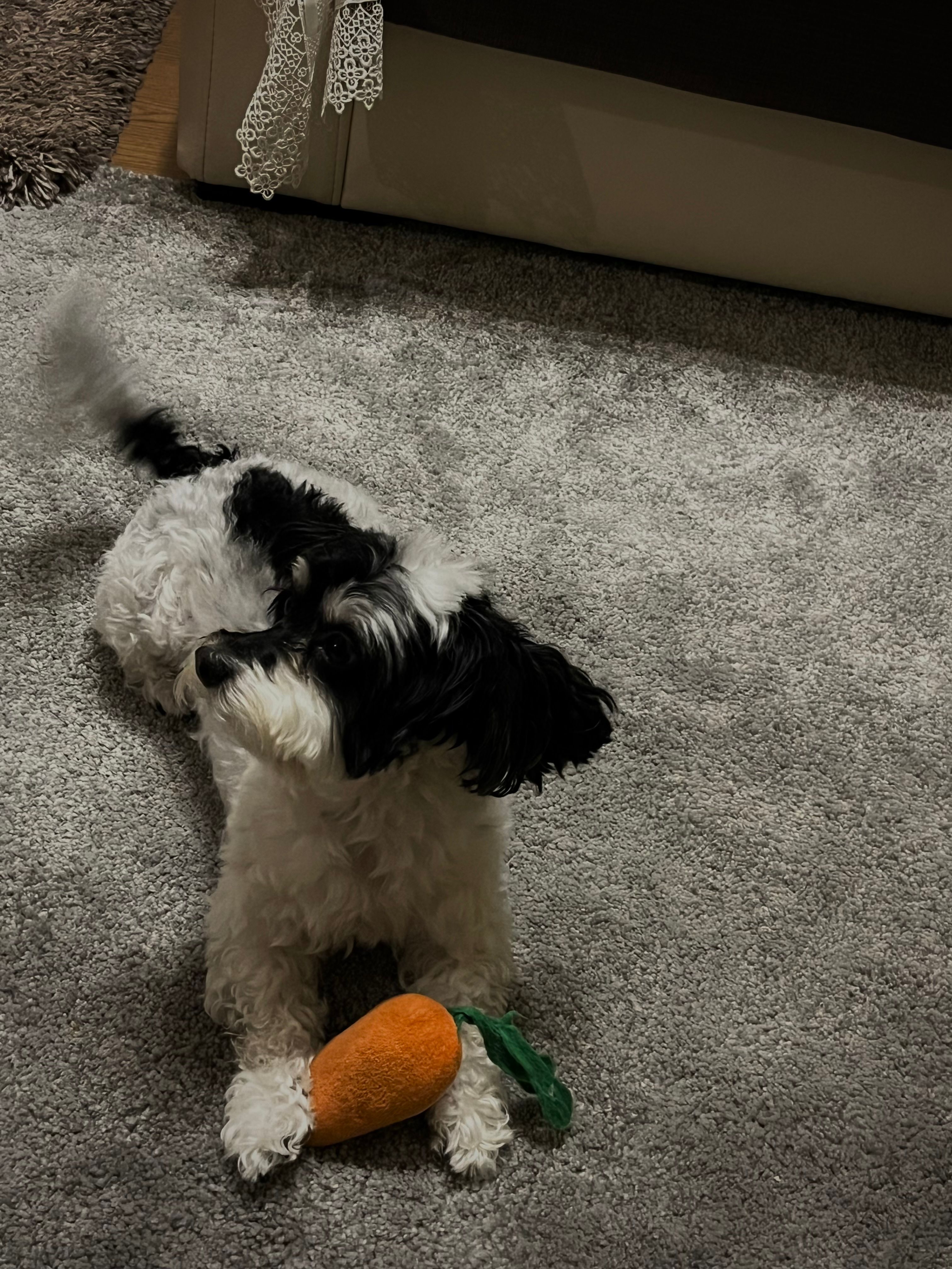 image-9