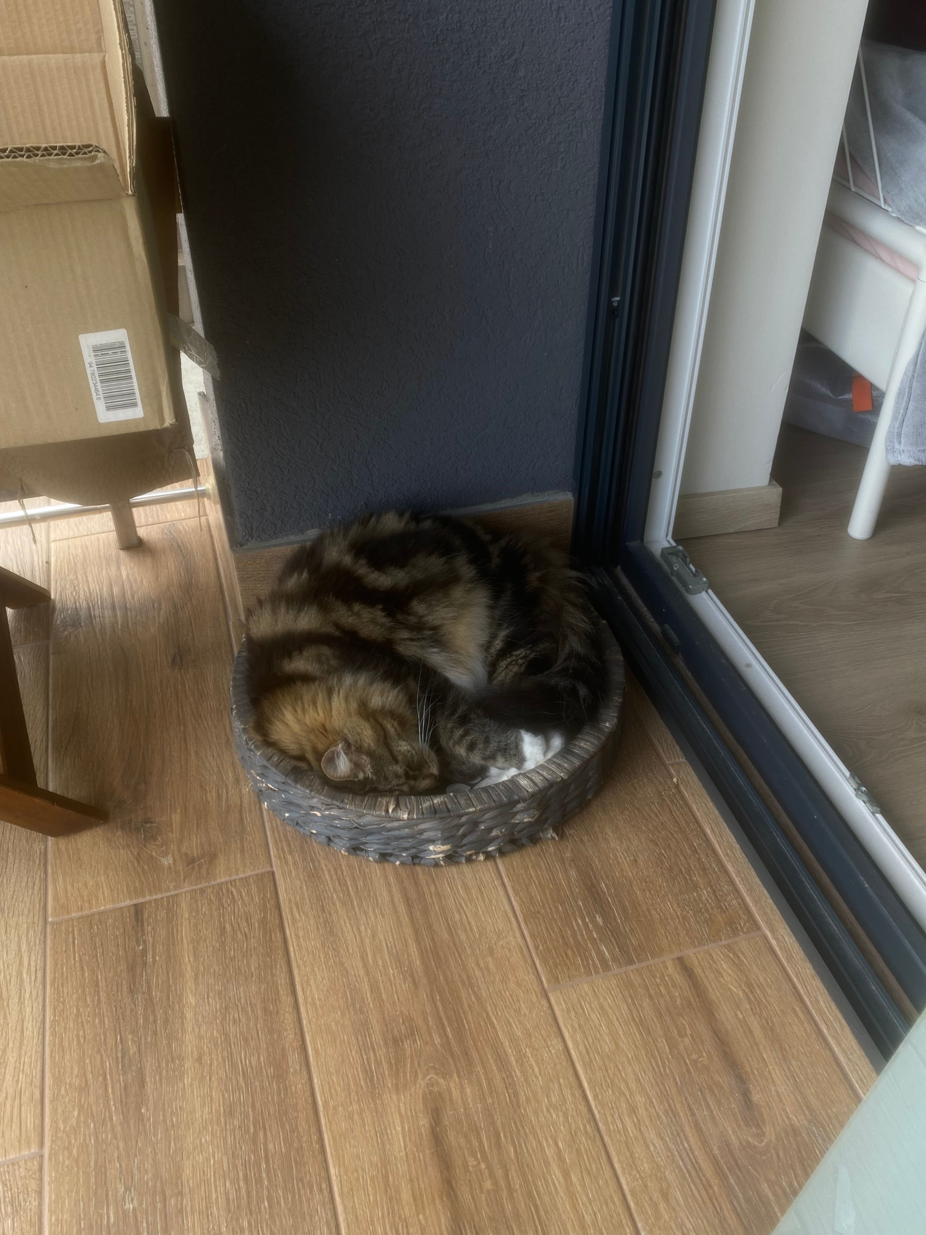 image-13