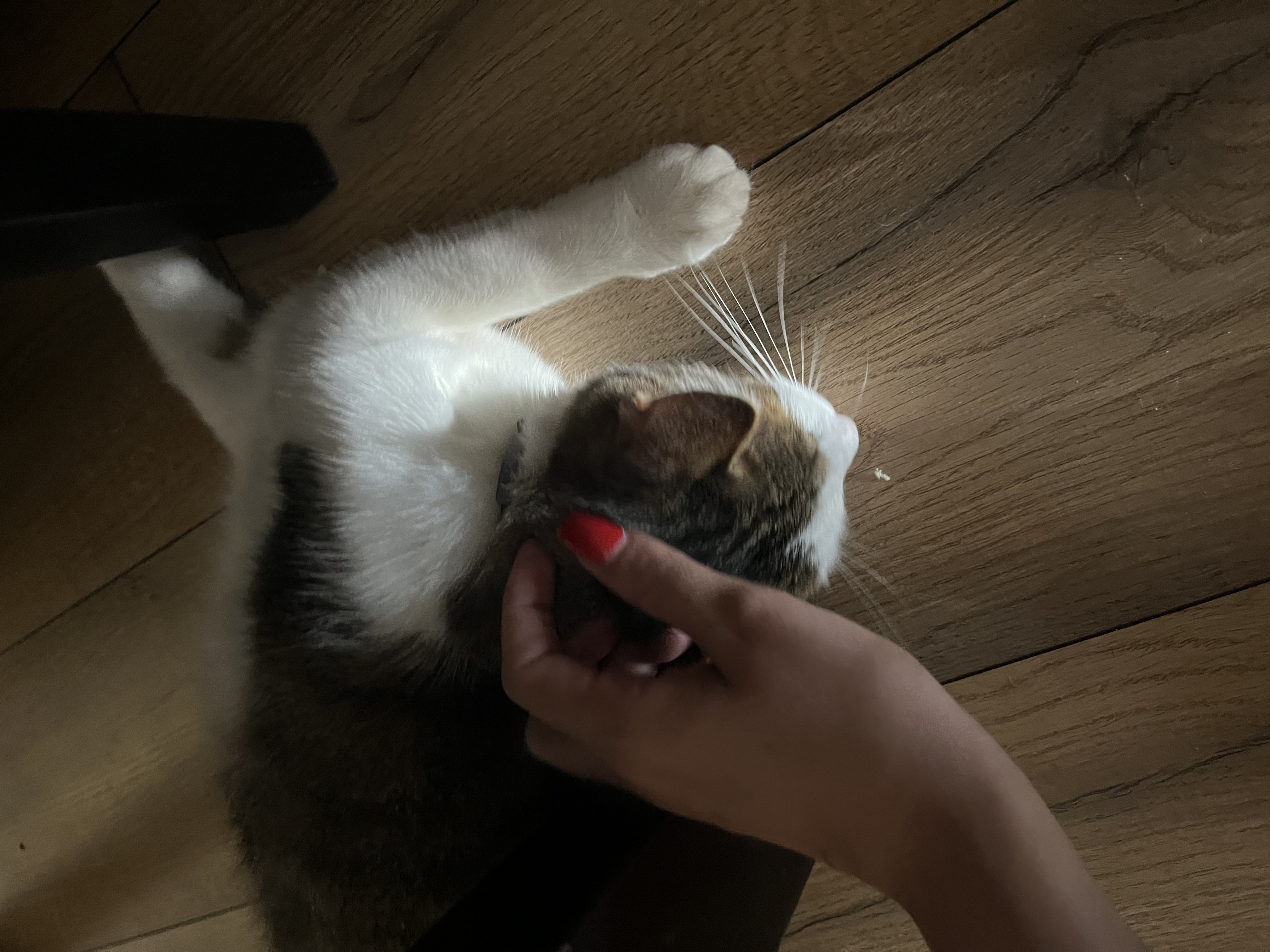image-1