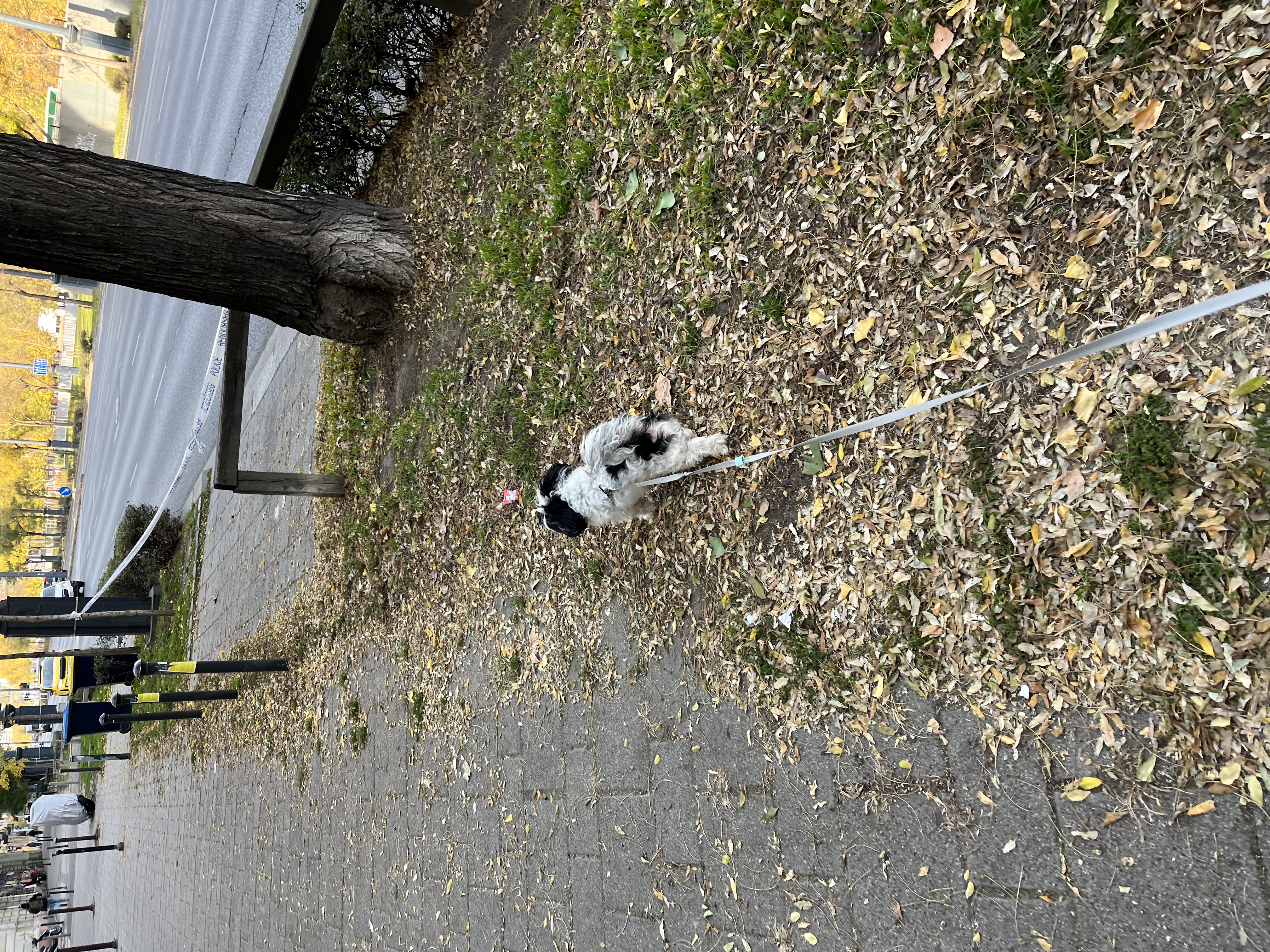 image-14