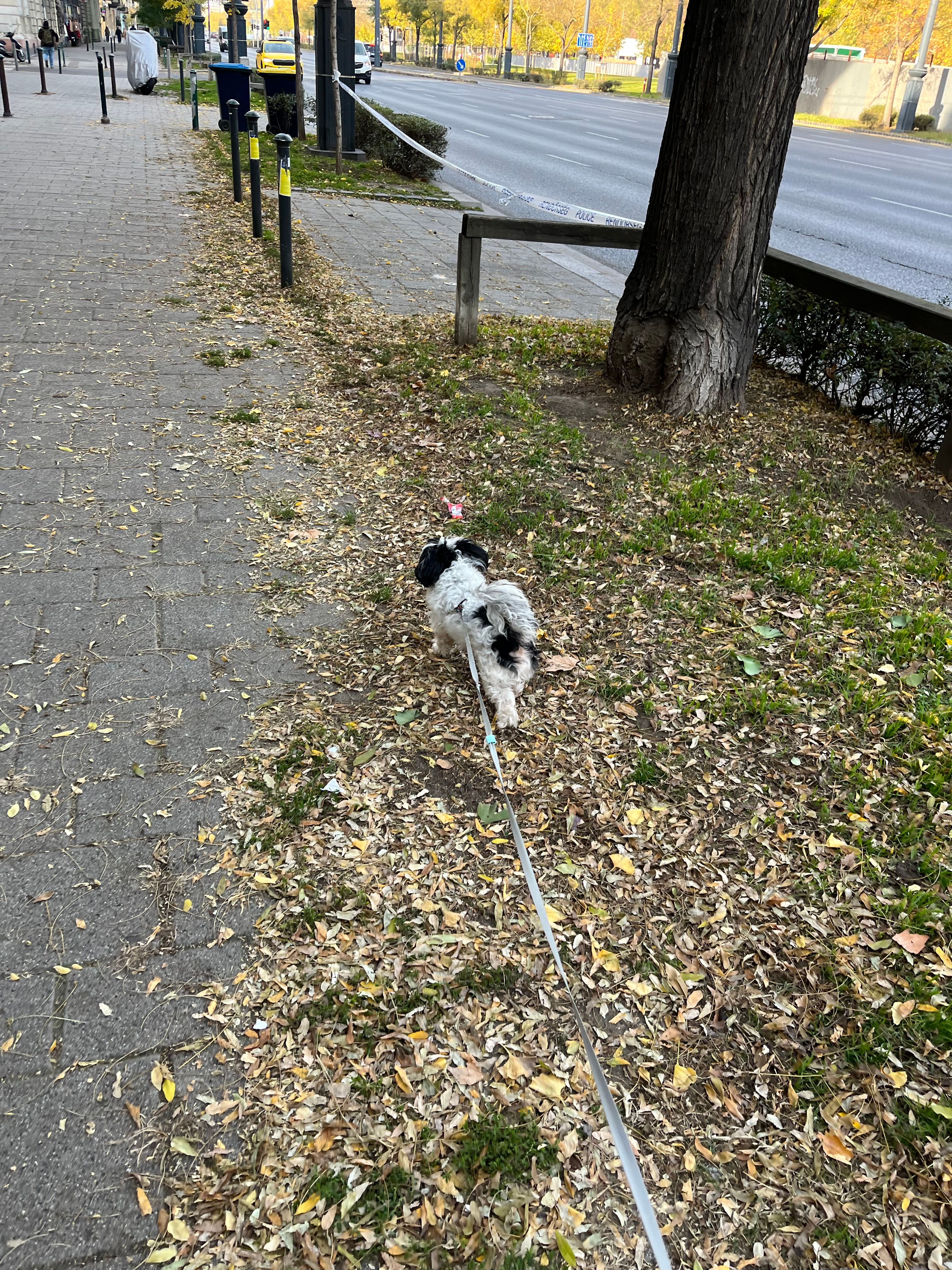 image-14