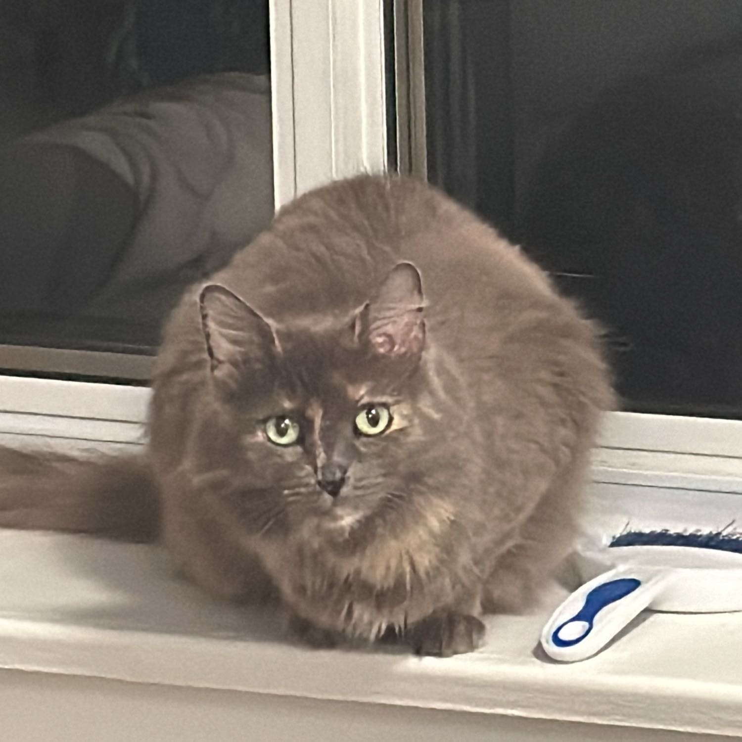 Lua