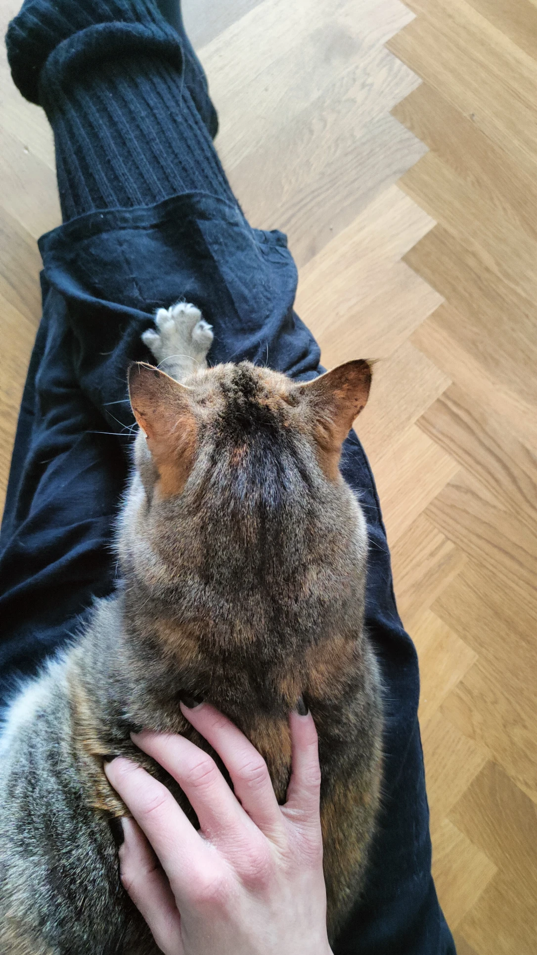image-12