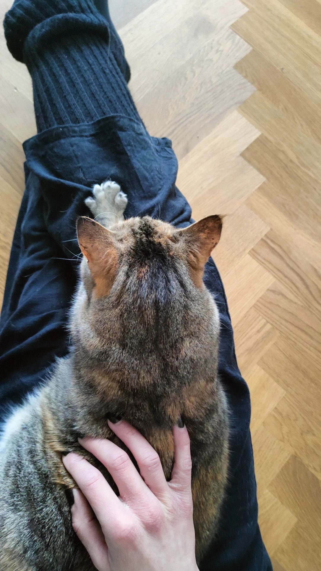 image-12