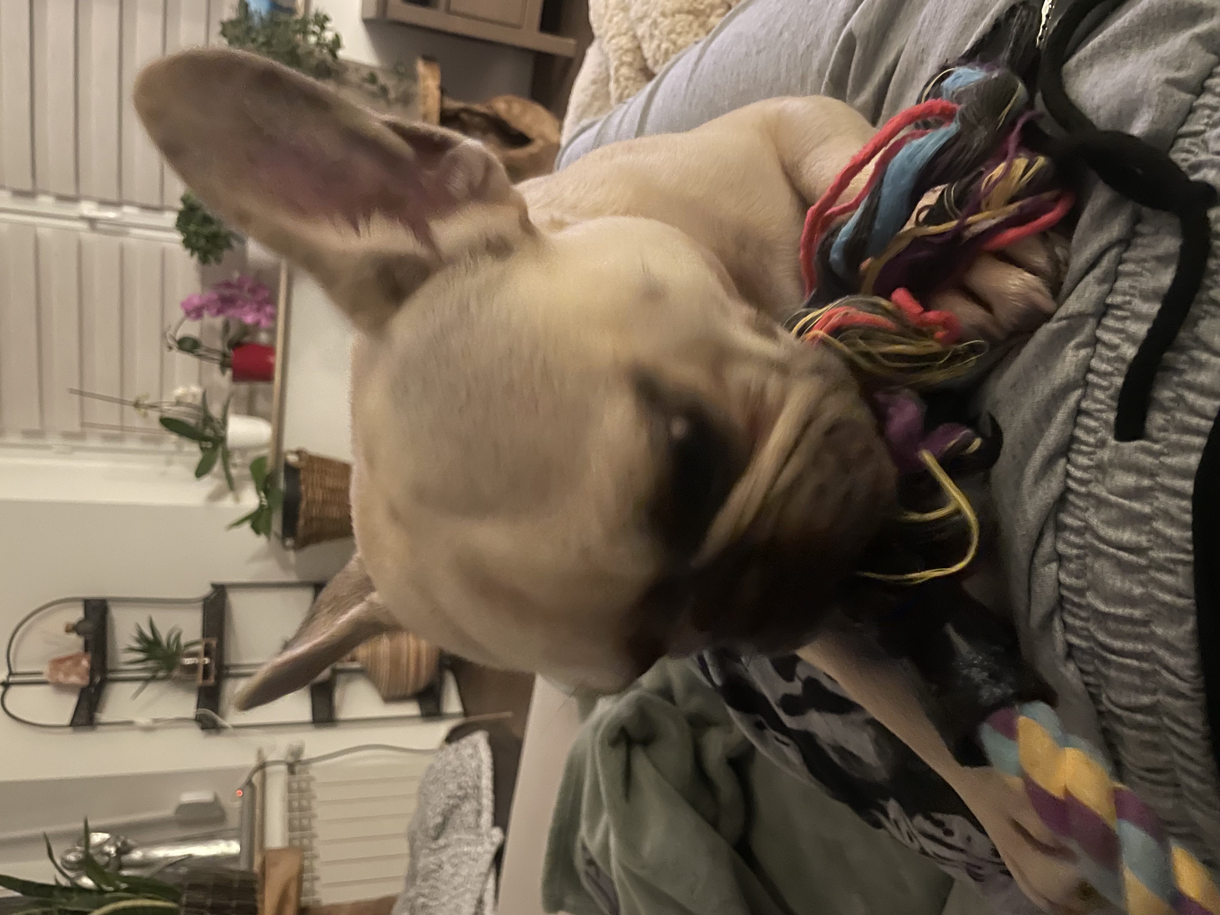 image-9