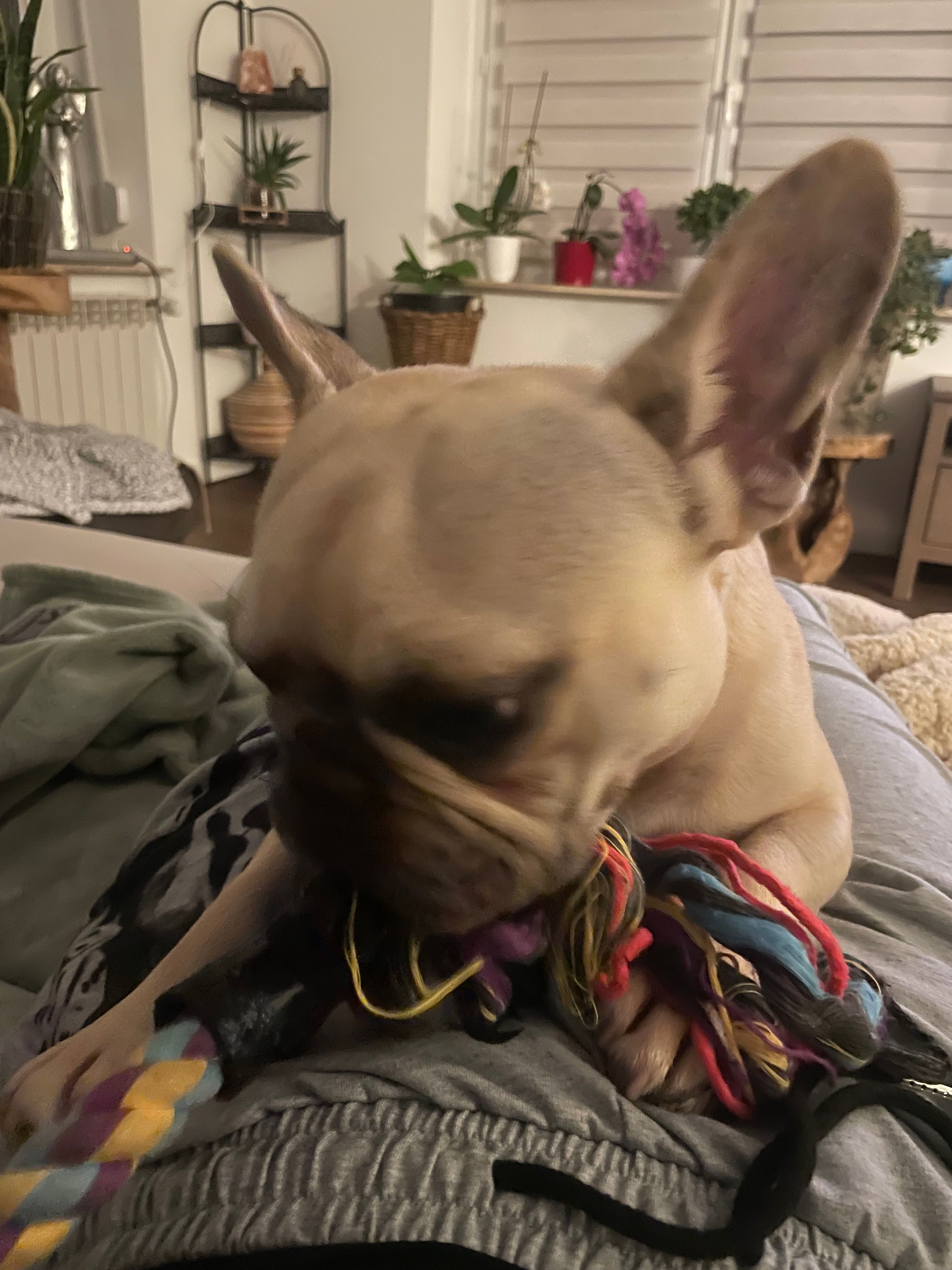 image-9