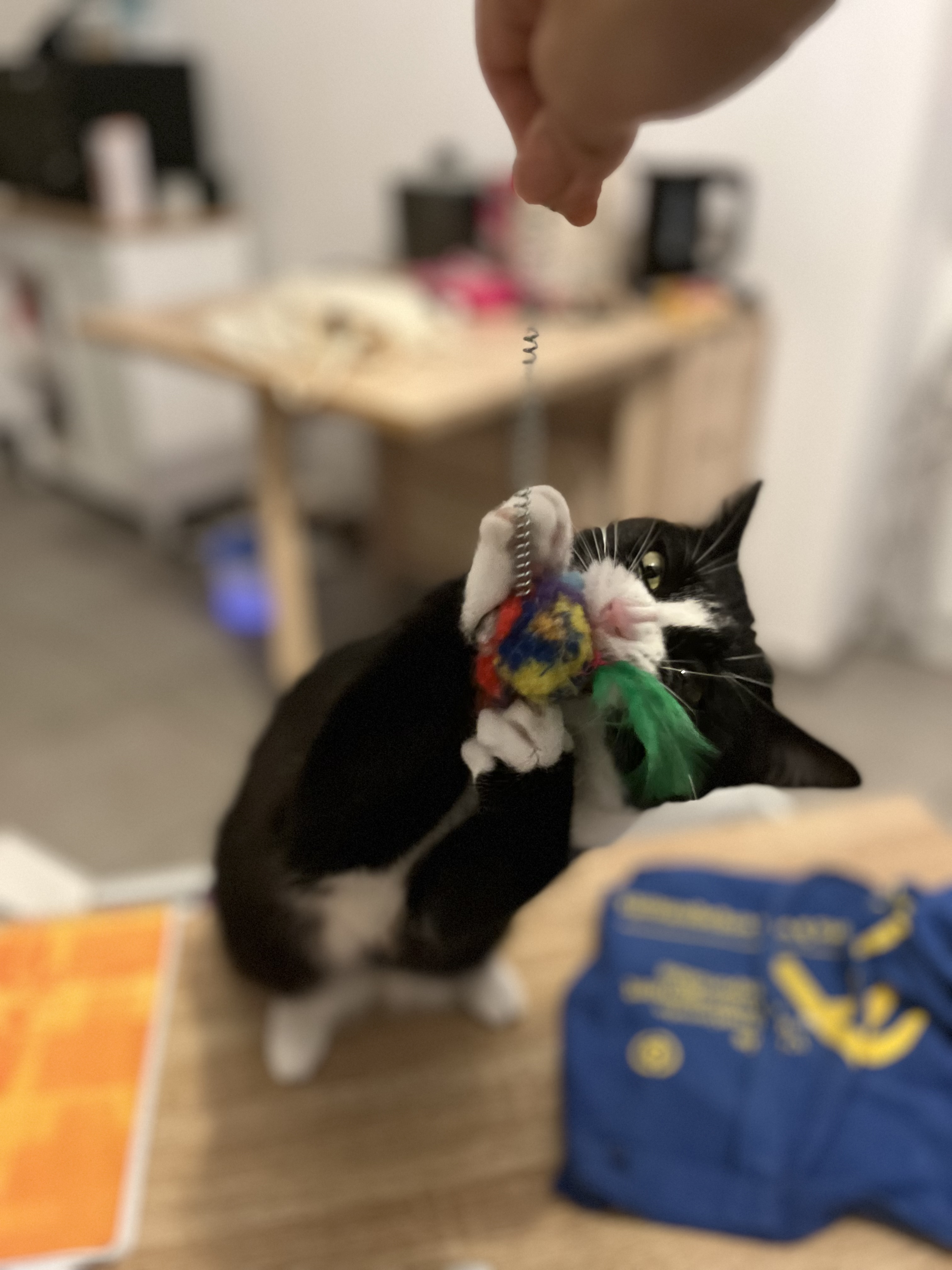 image-14