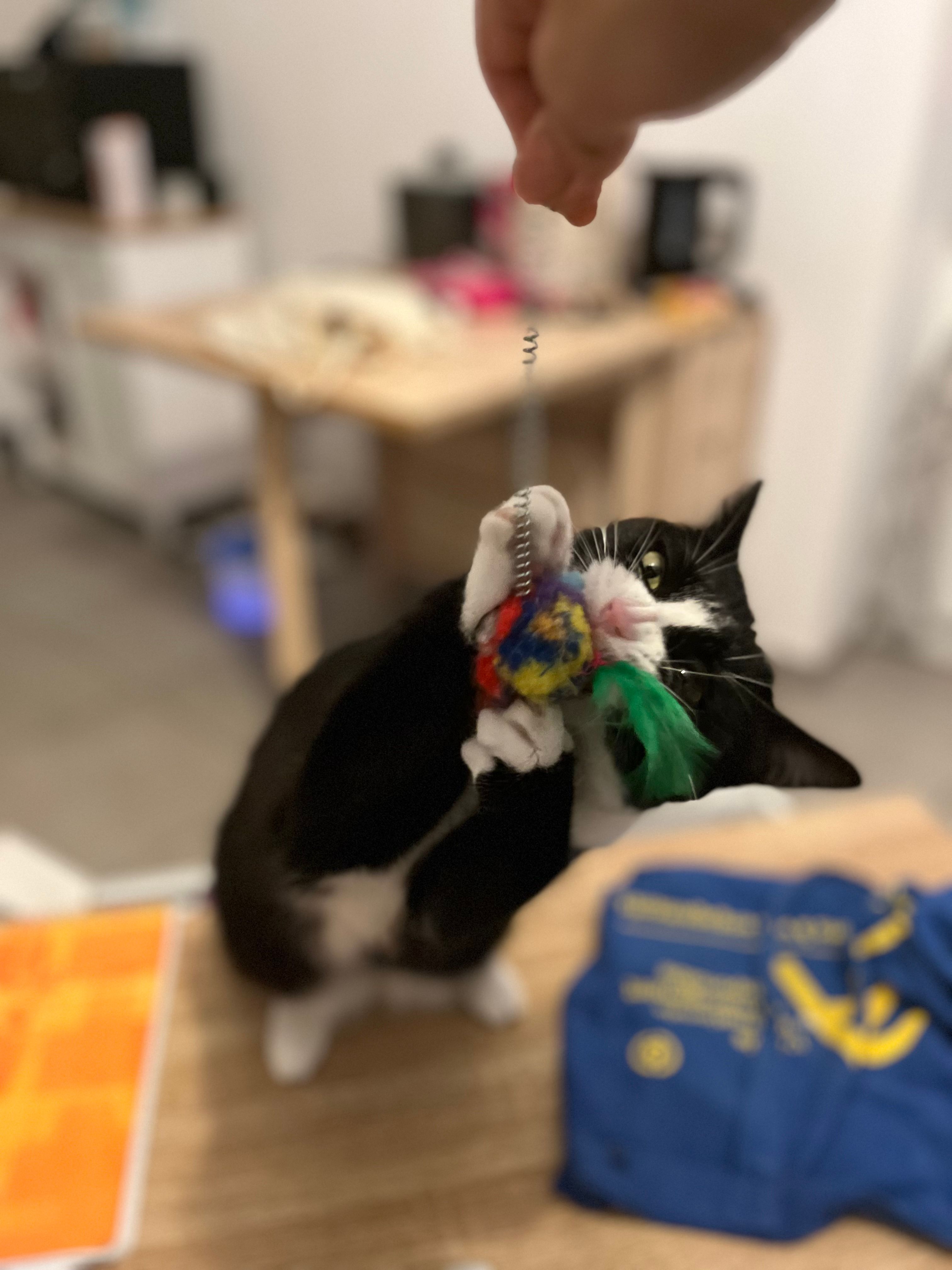 image-14