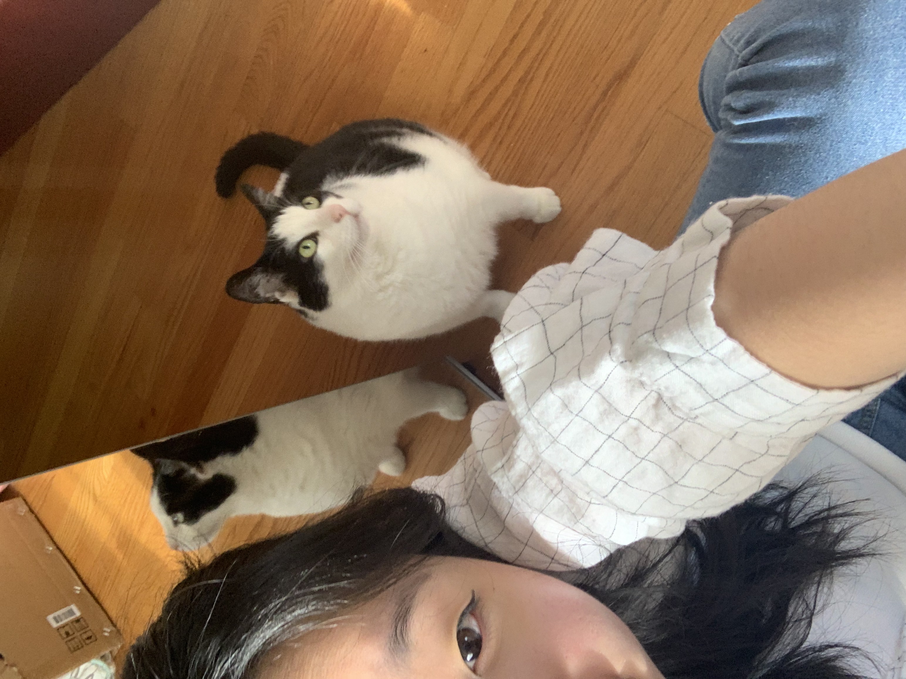 image-4