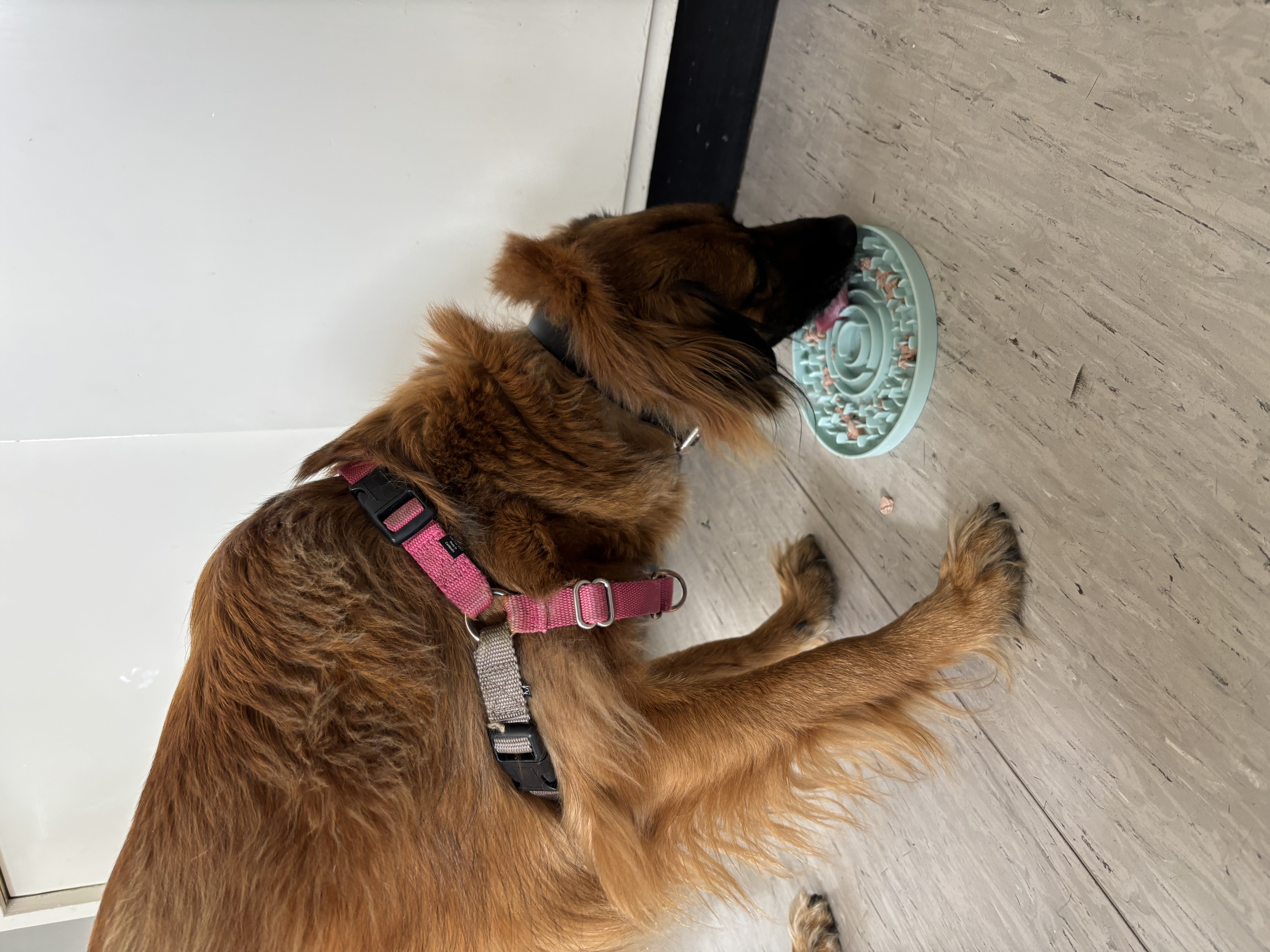 image-9