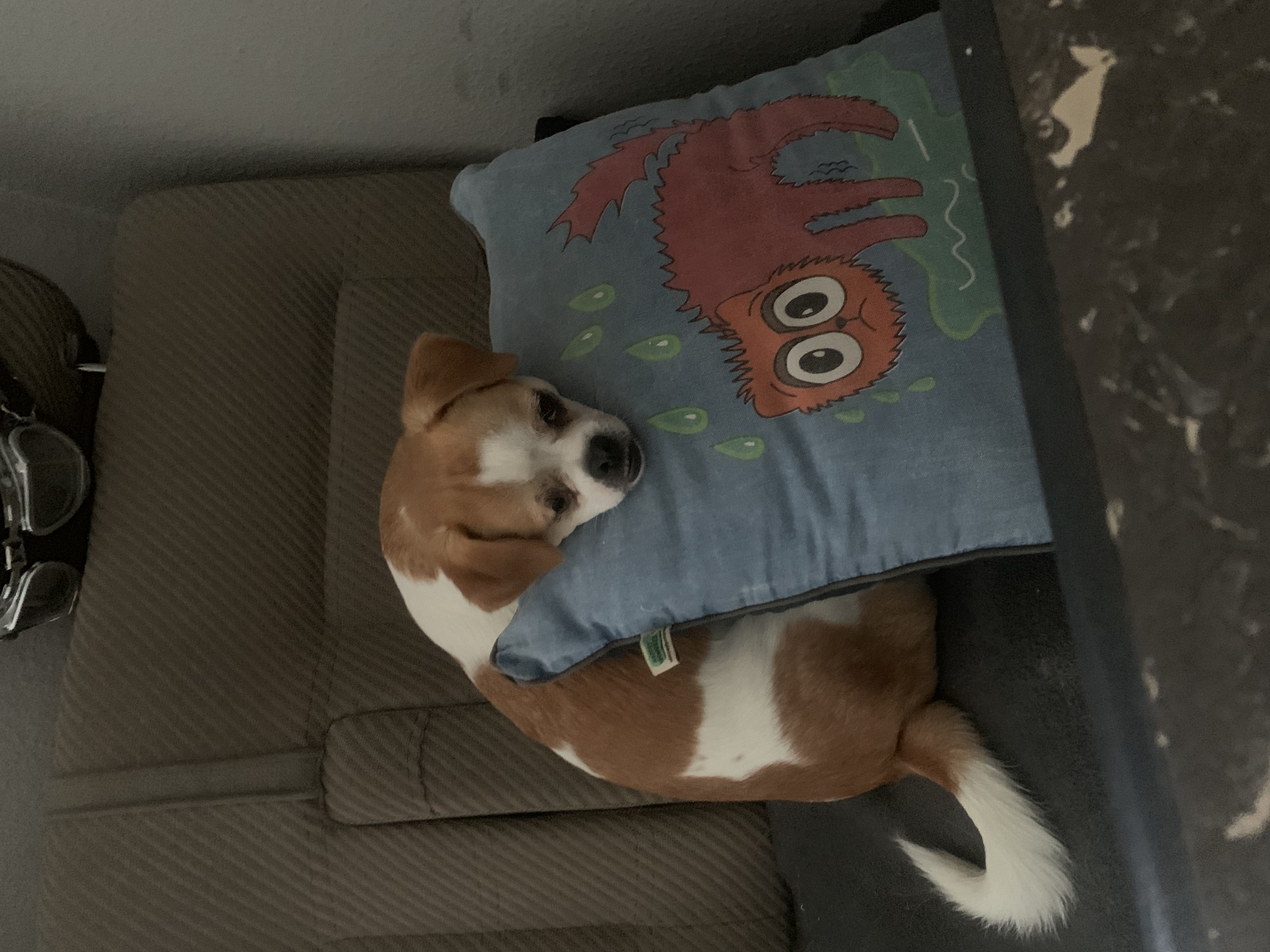 image-17