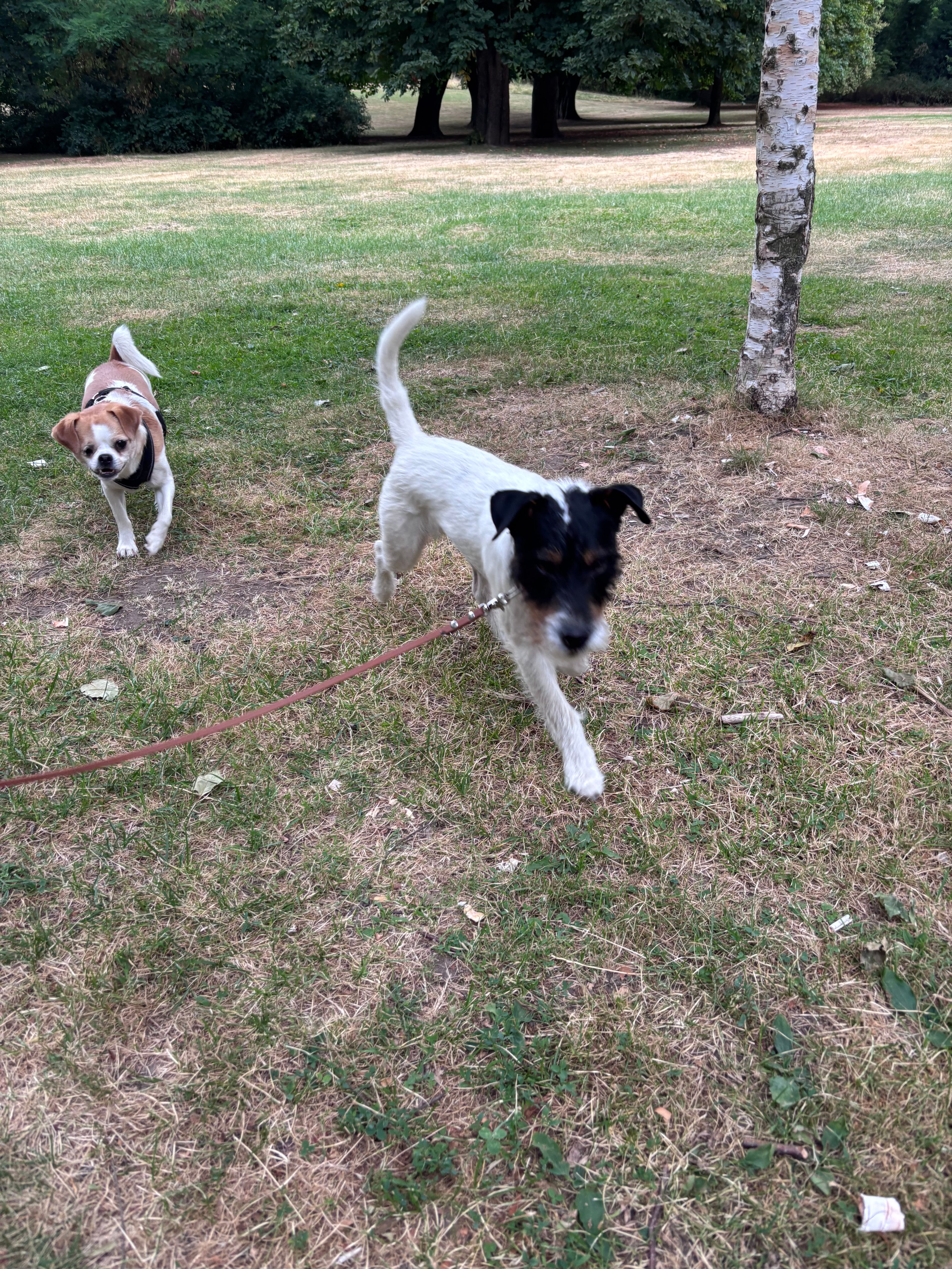 image-10