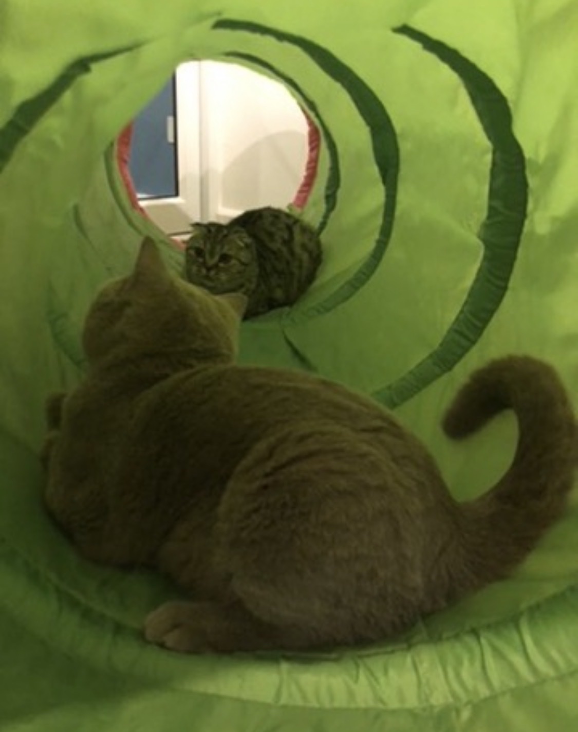 image-9