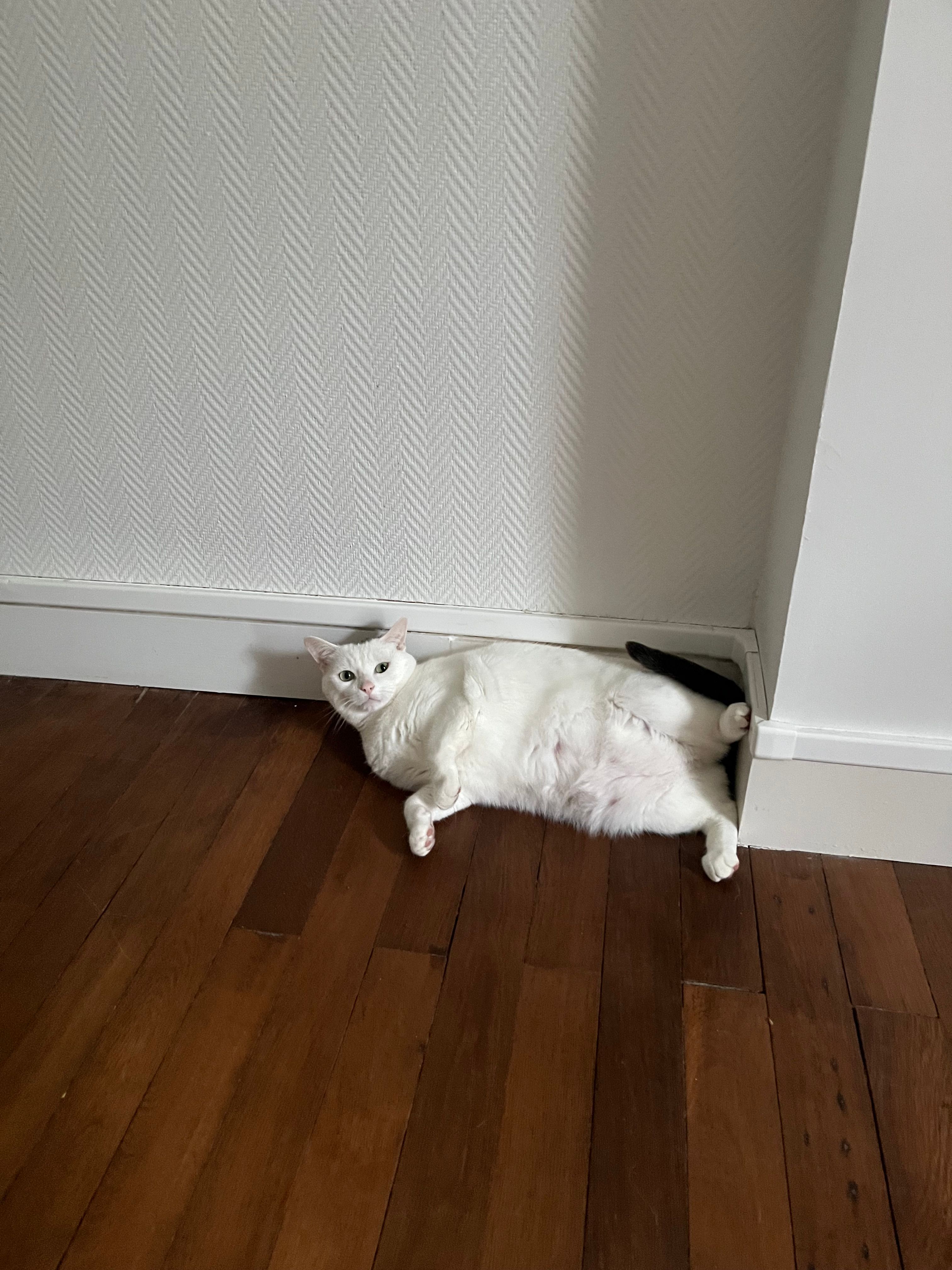 image-17
