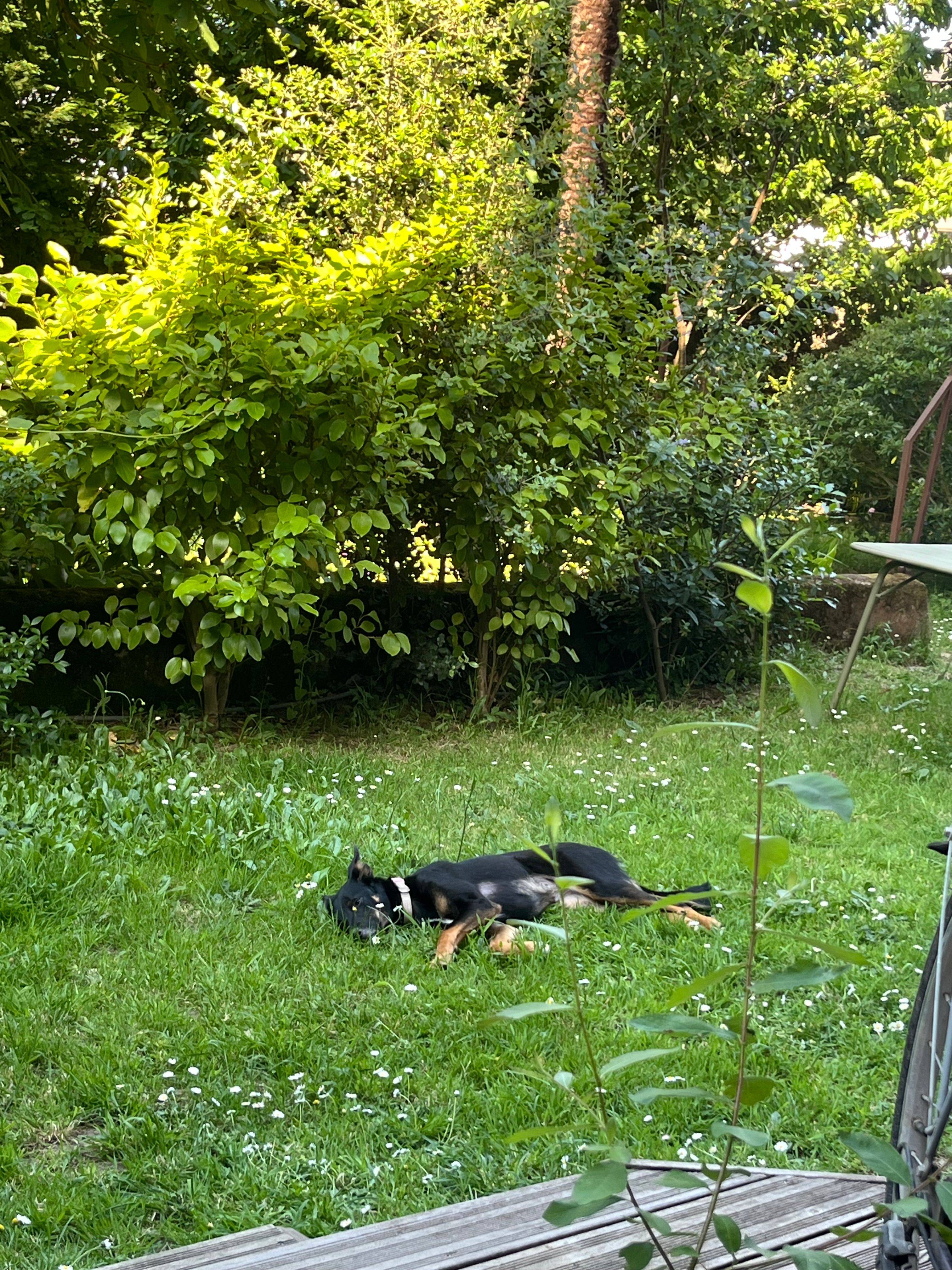 image-16