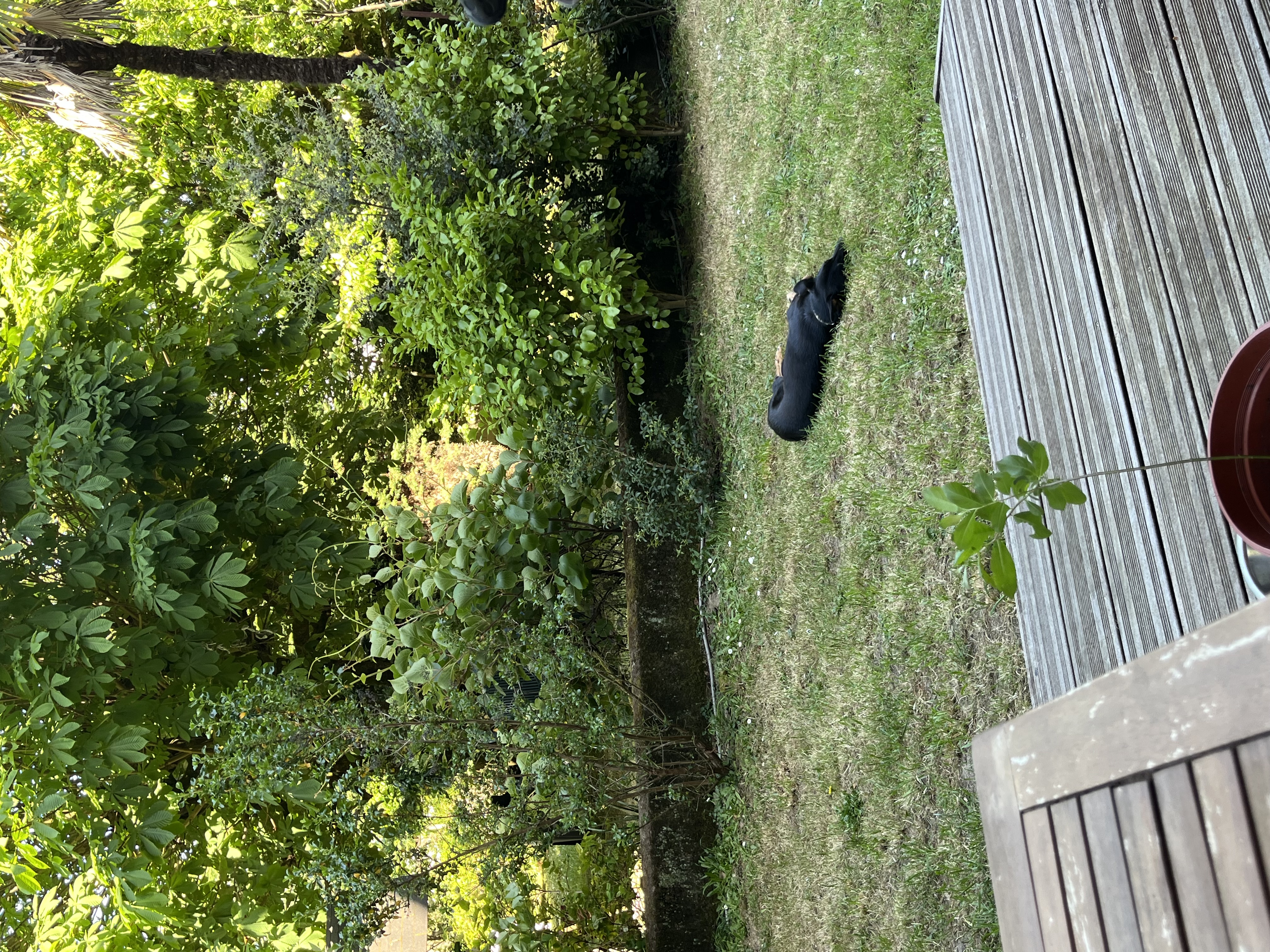 image-15