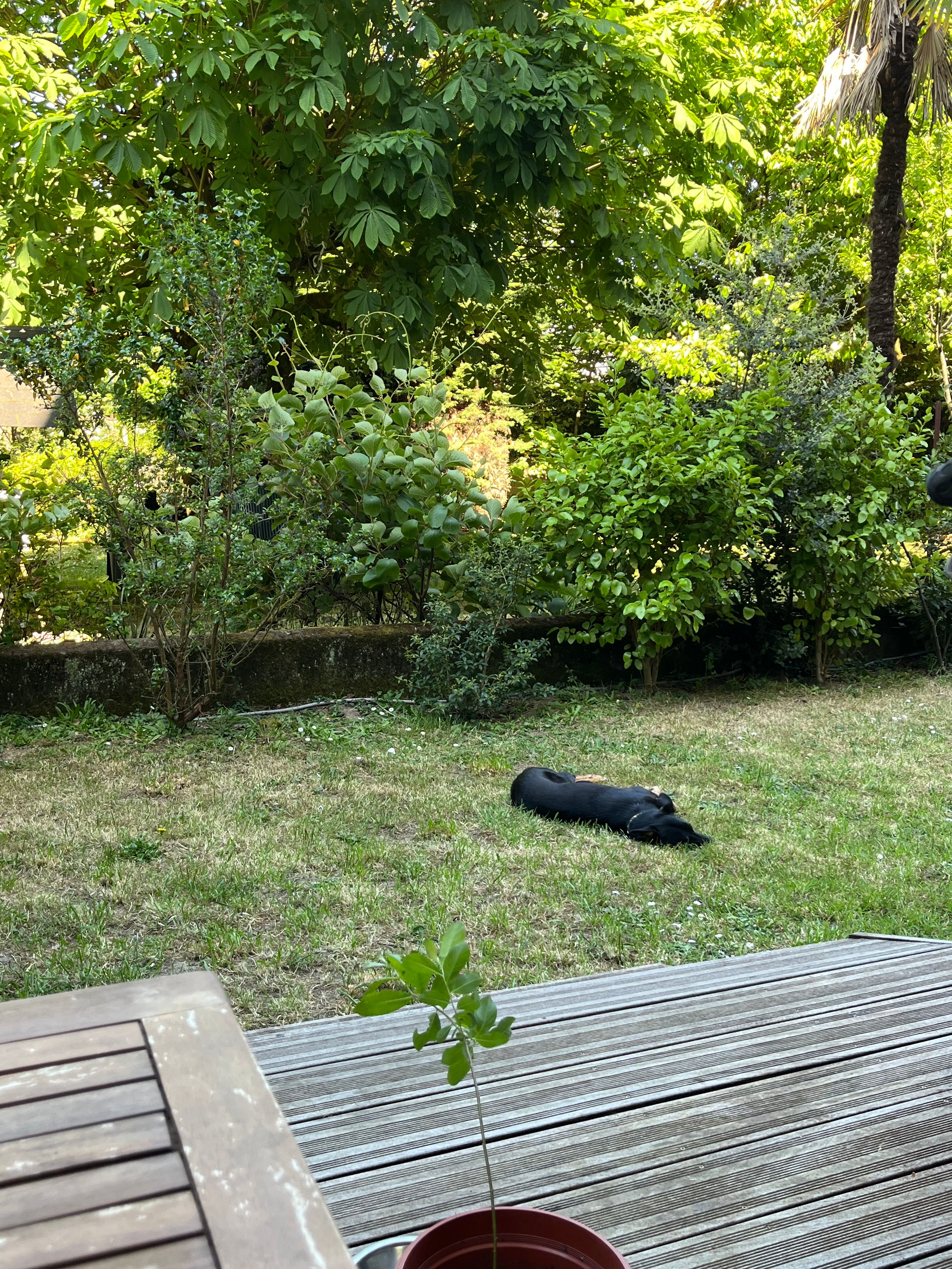 image-15