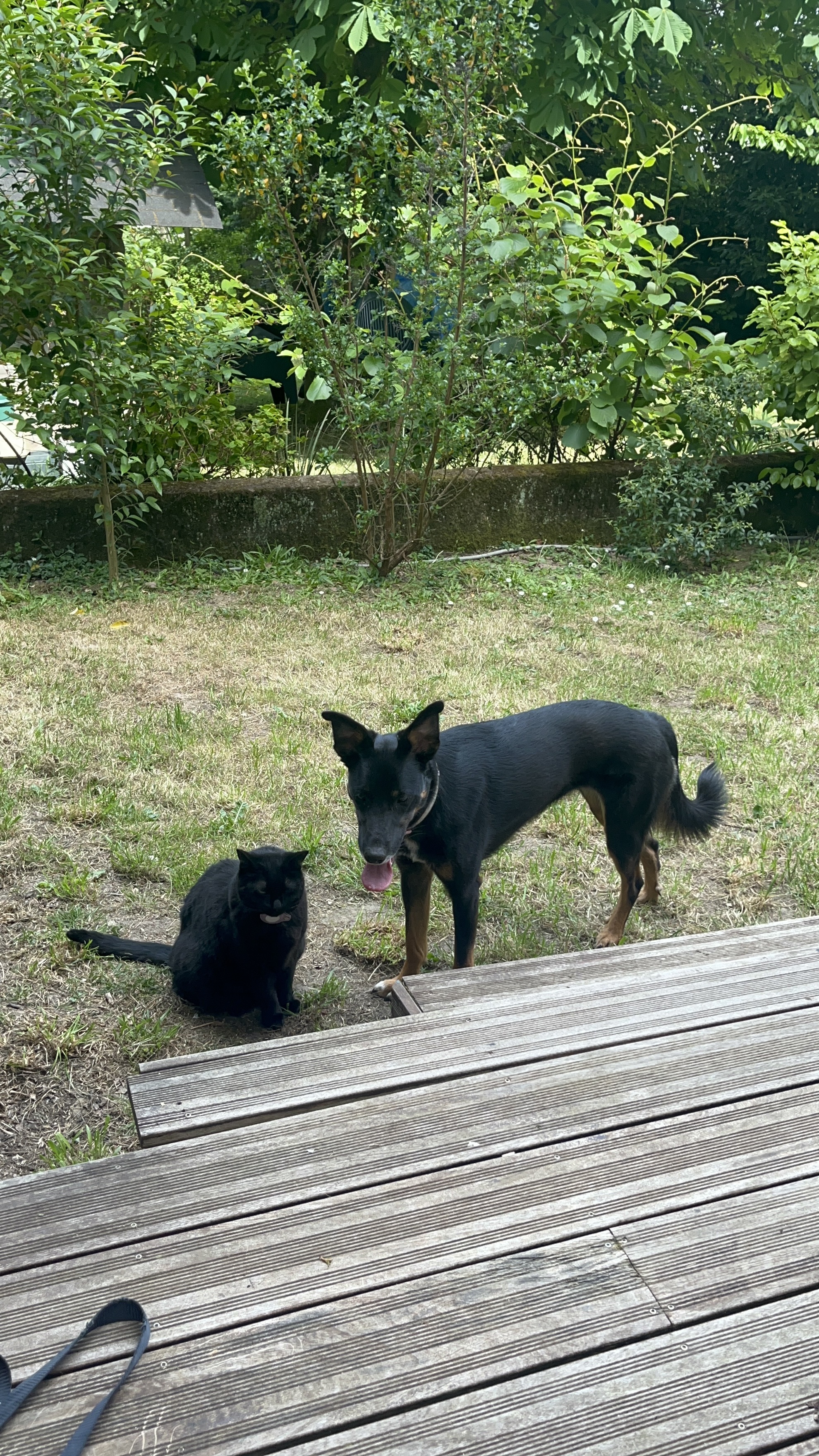 image-14
