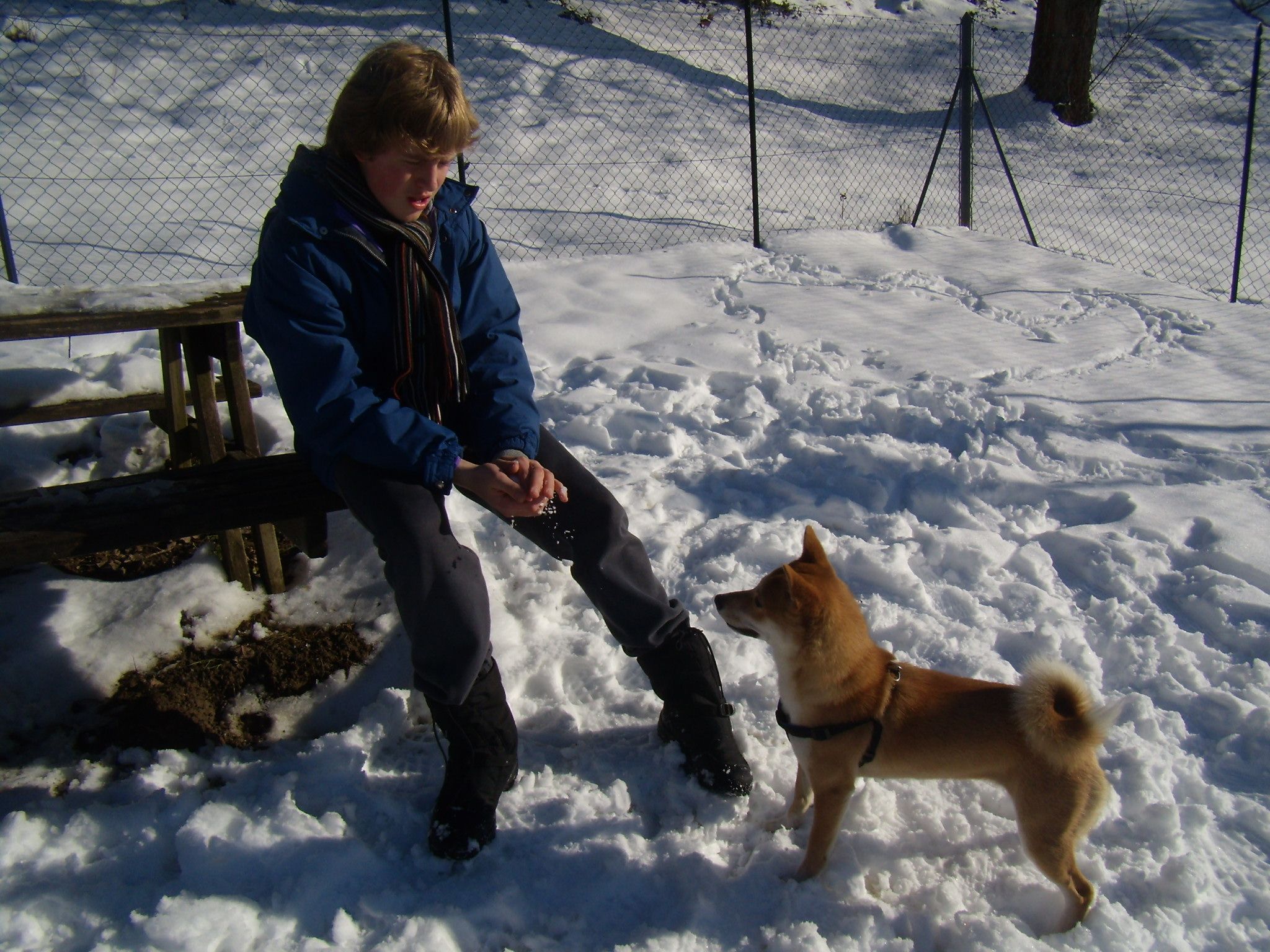 image-4