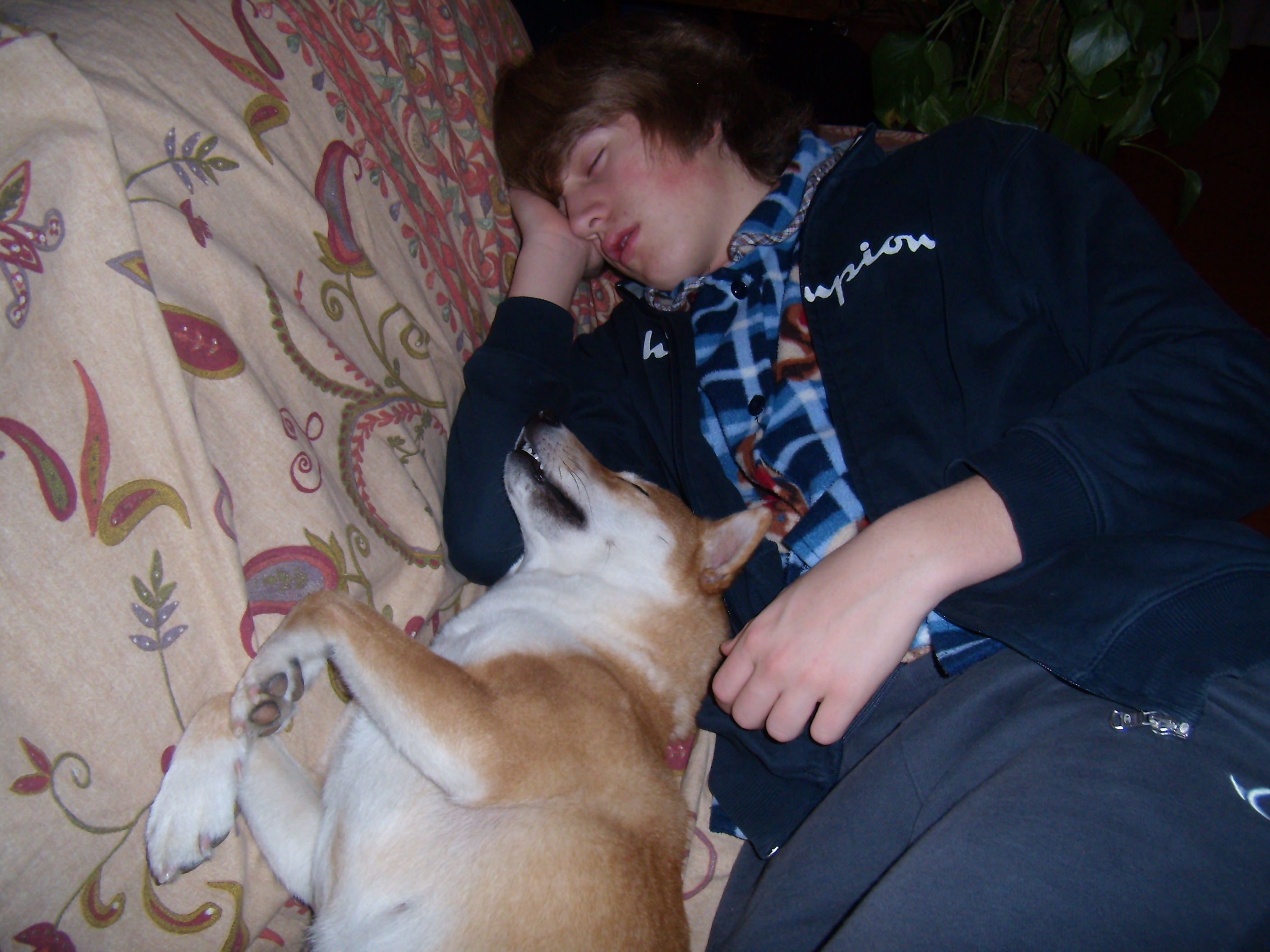 image-5