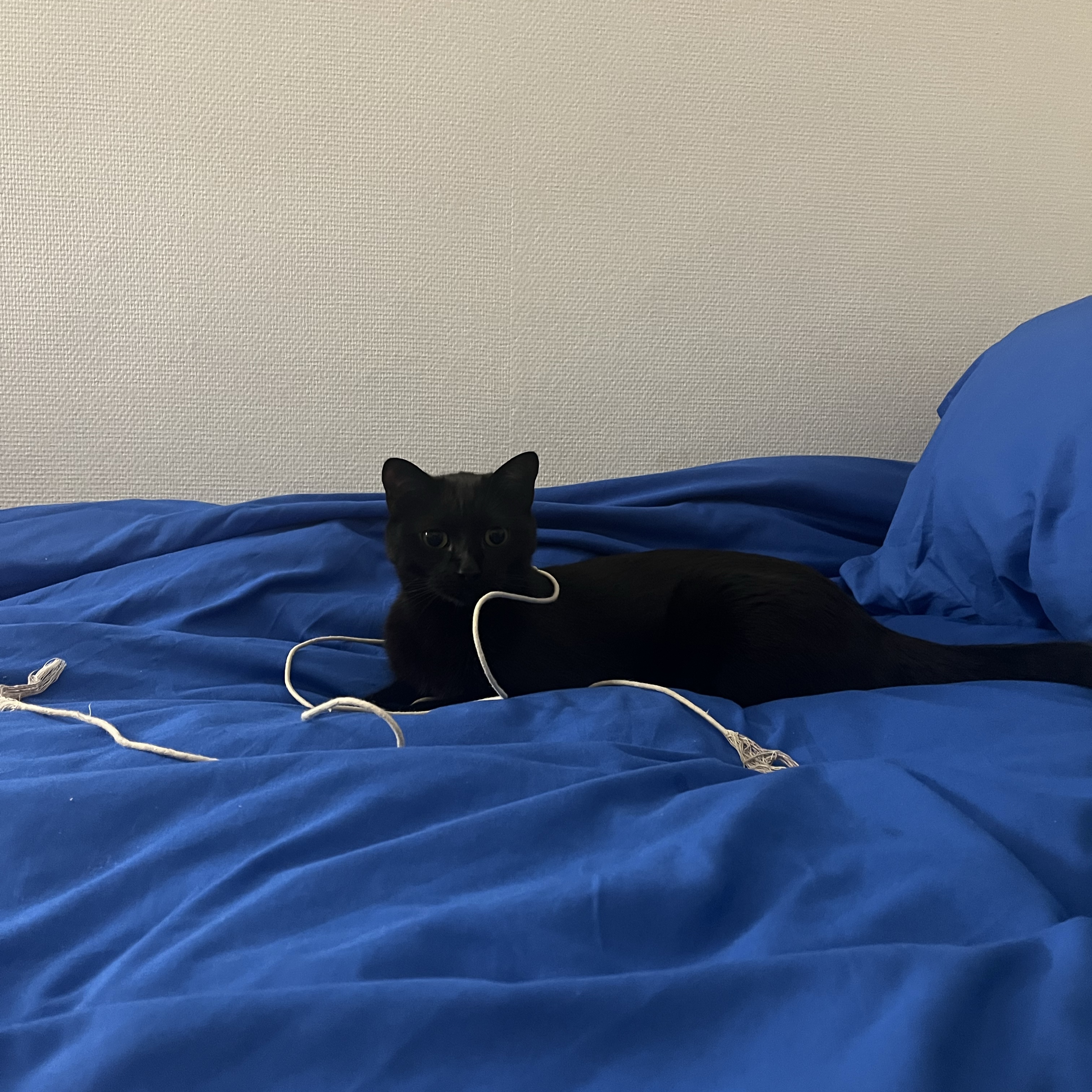 Poco