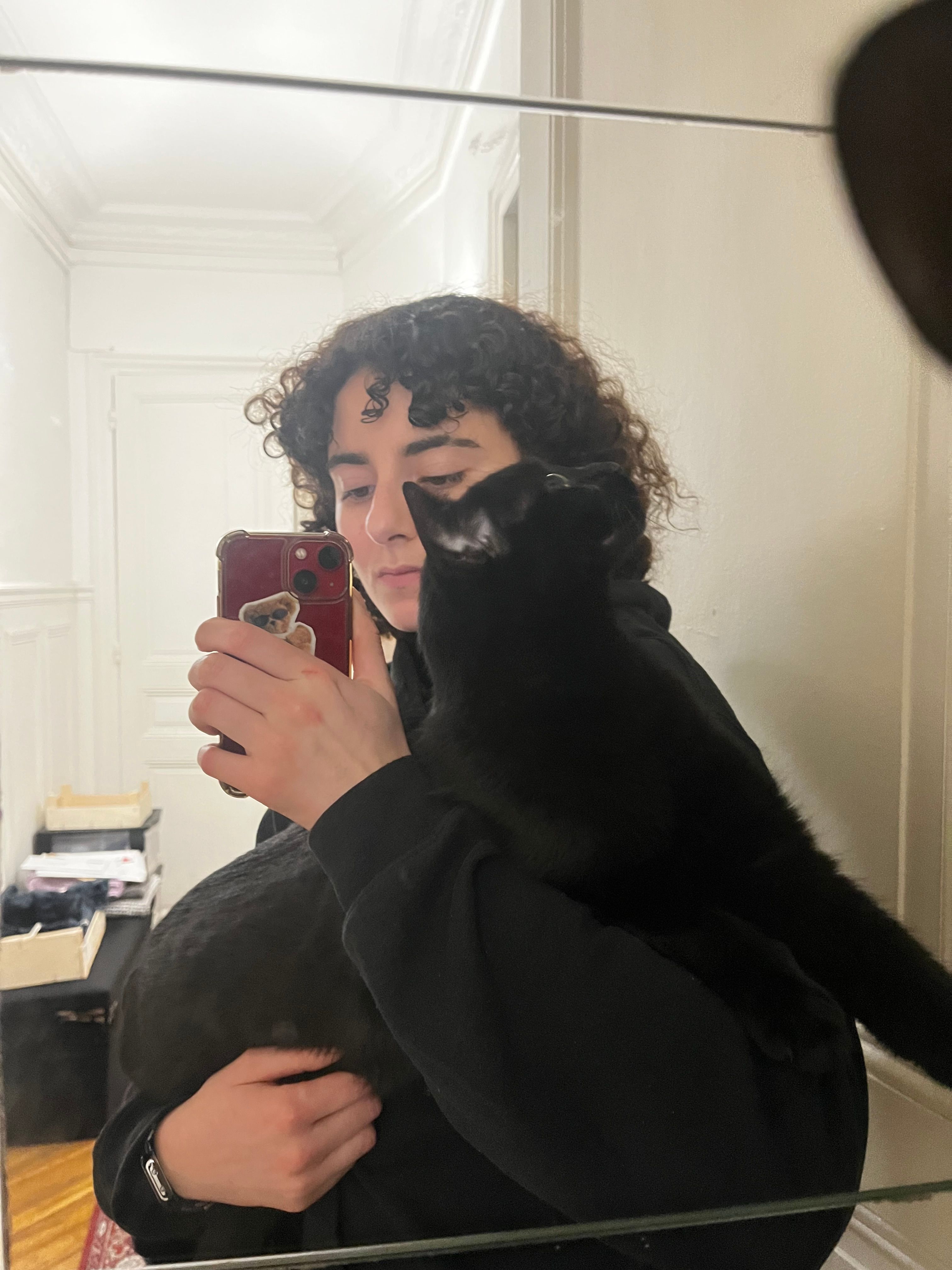 image-7