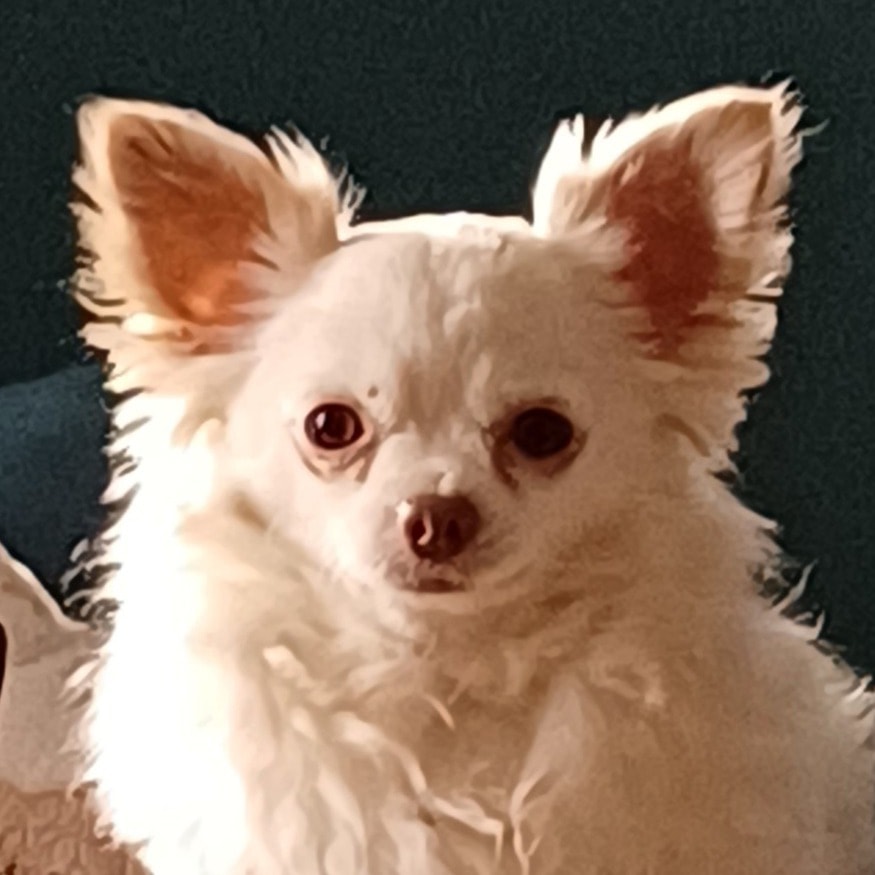 Nougat 