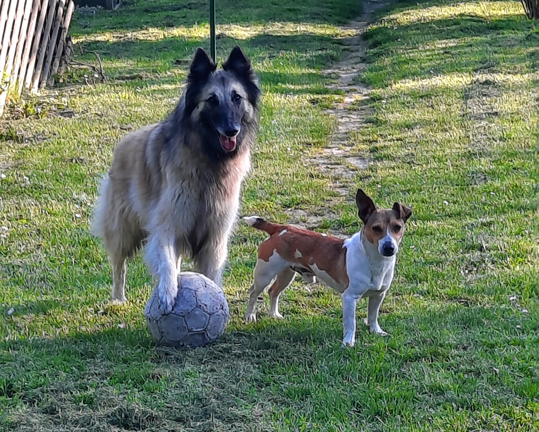 image-11