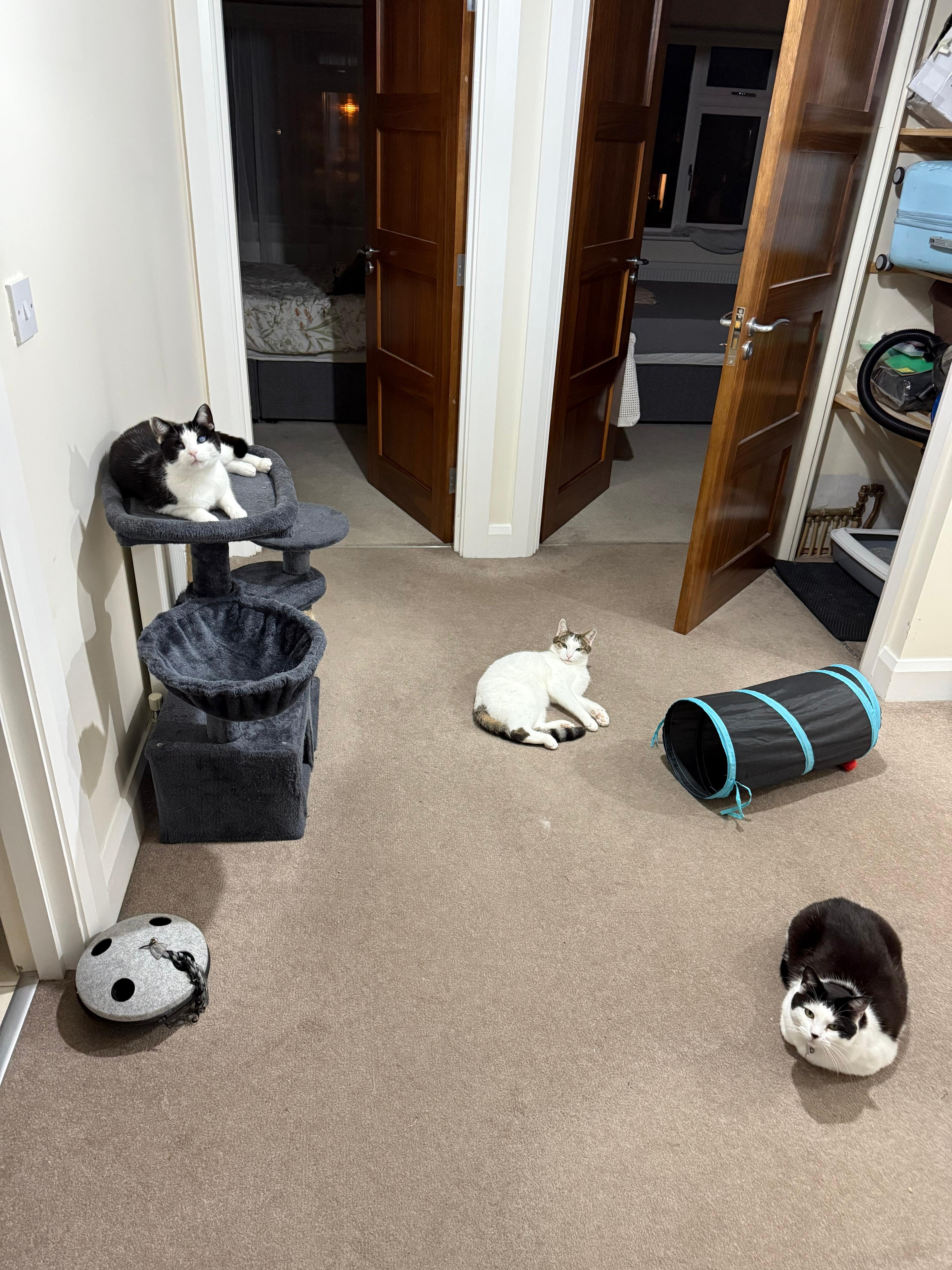 image-6
