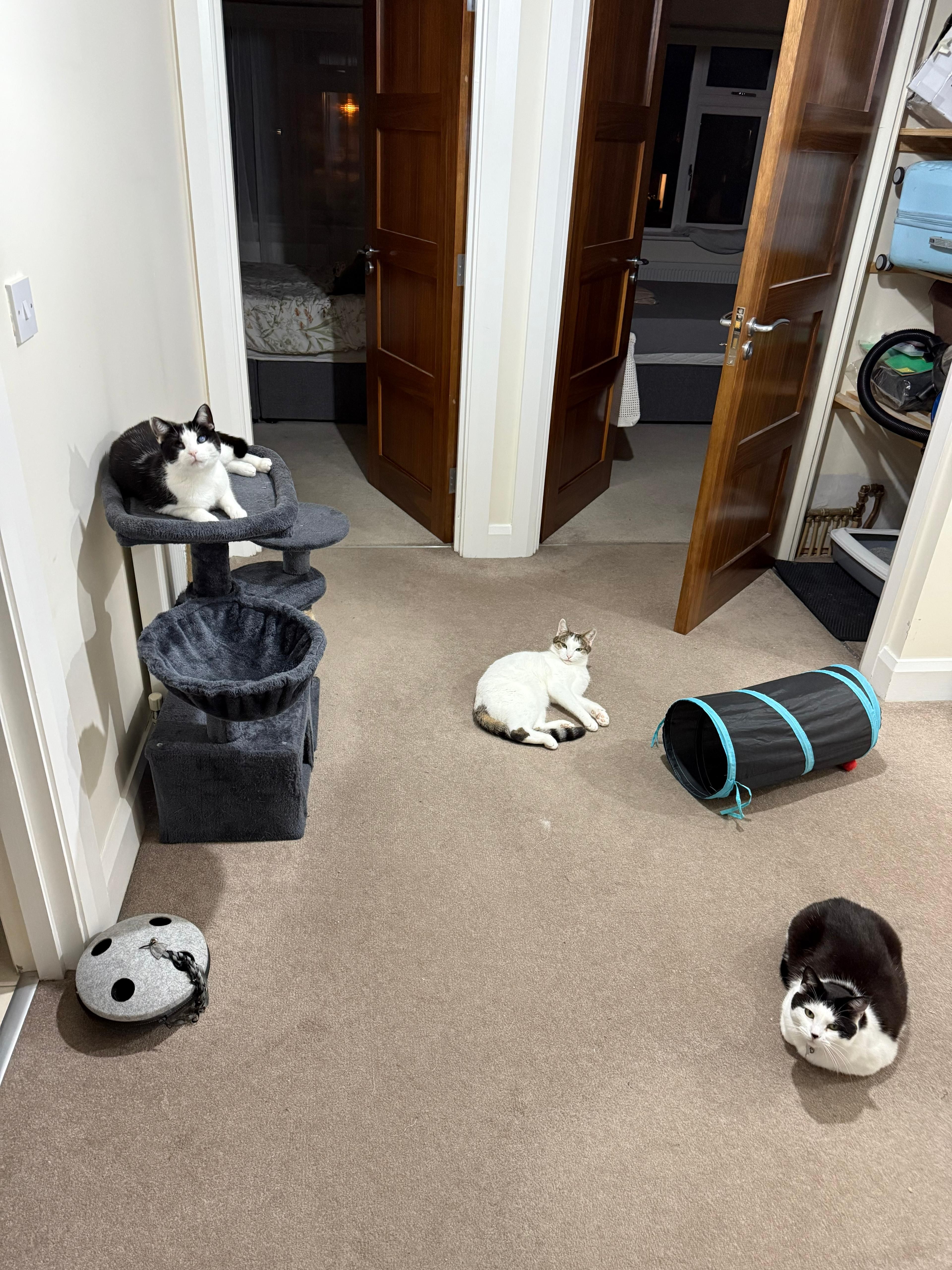 image-6