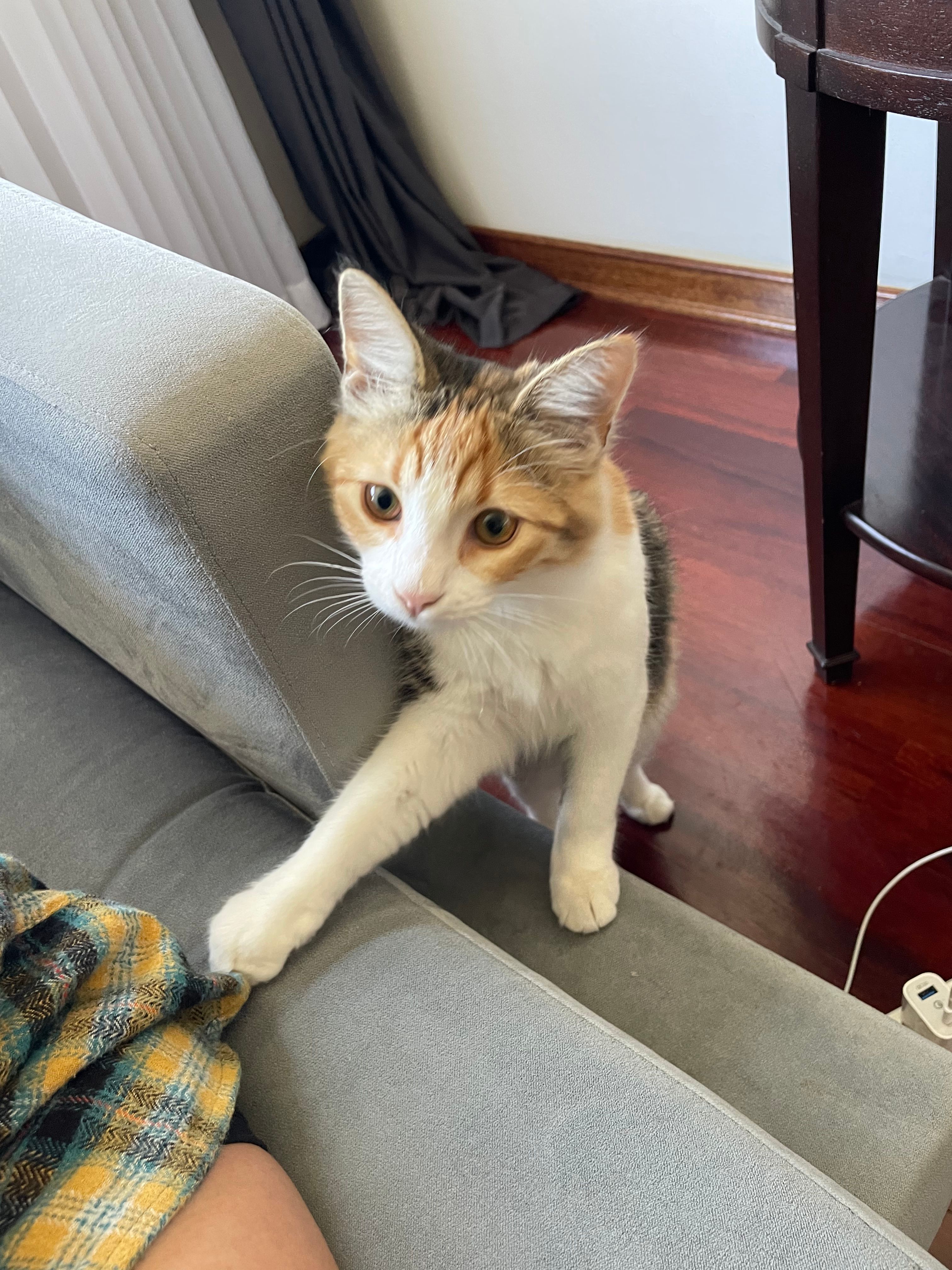 image-11
